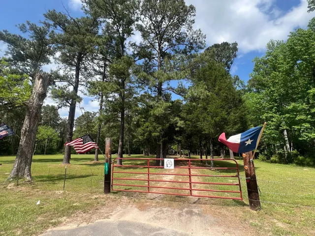 a view of a backyard with a trees