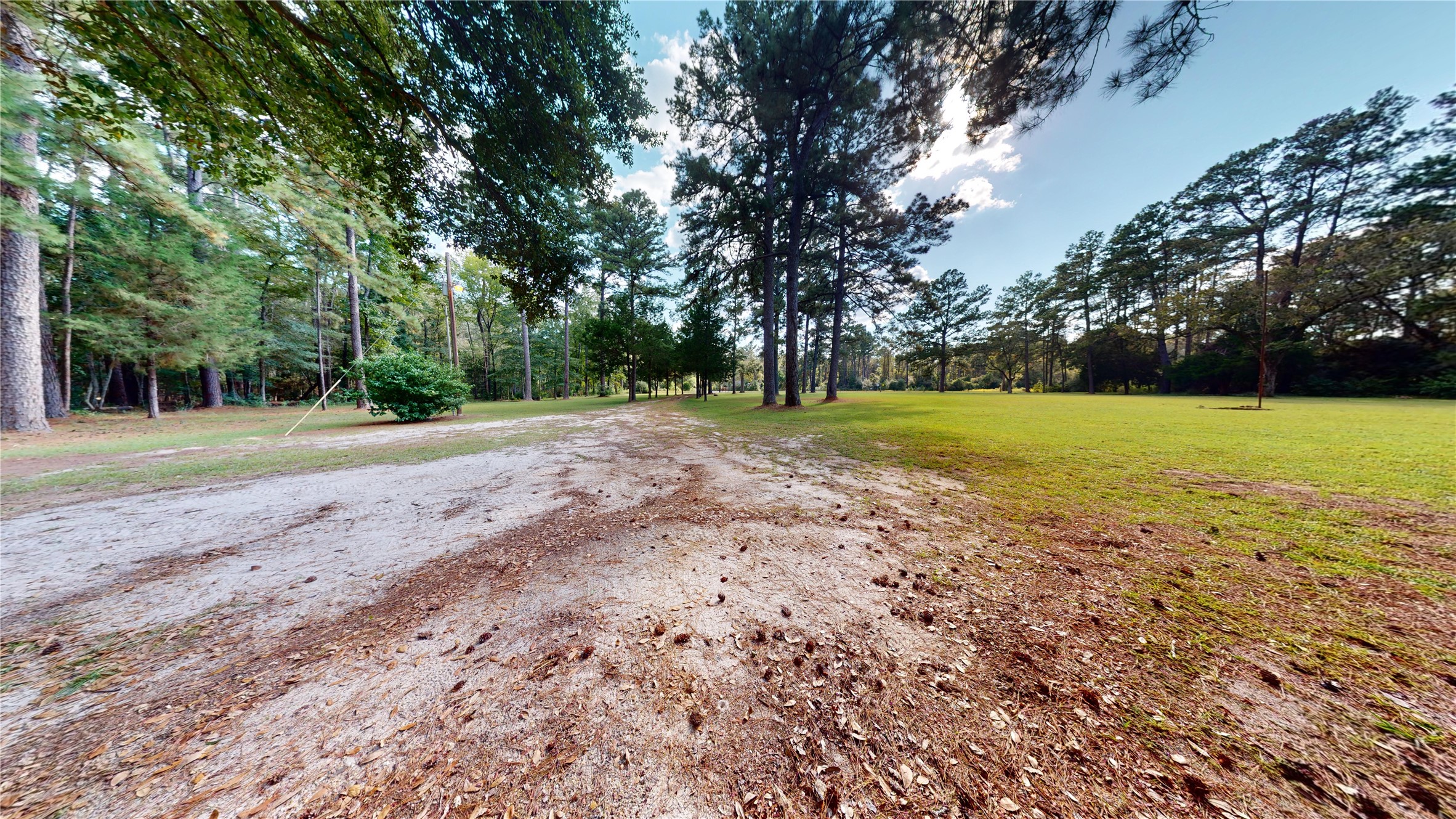 18157 State Highway 87 Call, TX 75933 - Photo 19 of 39 a view of a field with trees in background