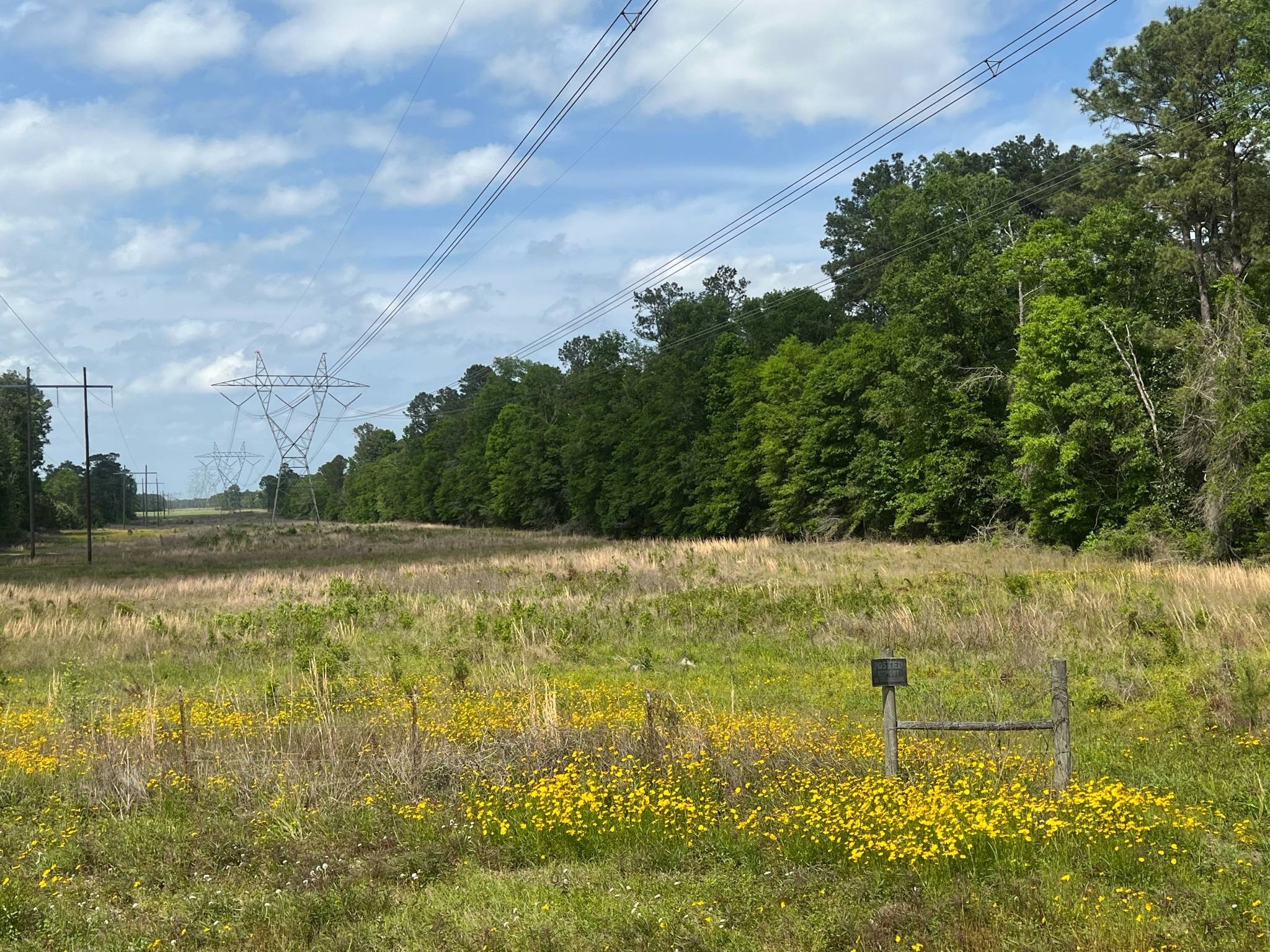 18157 State Highway 87 Call, TX 75933 - Photo 20 of 39 a view of a lake view