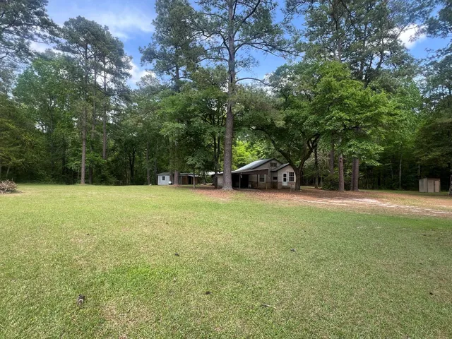 a view of a tree in the middle of a yard