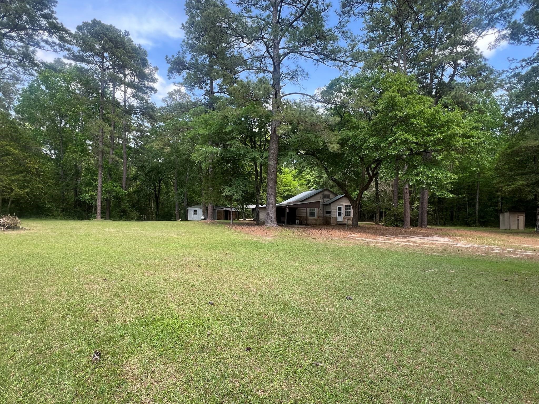 18157 State Highway 87 Call, TX 75933 - Photo 2 of 39 a view of a backyard with a trees