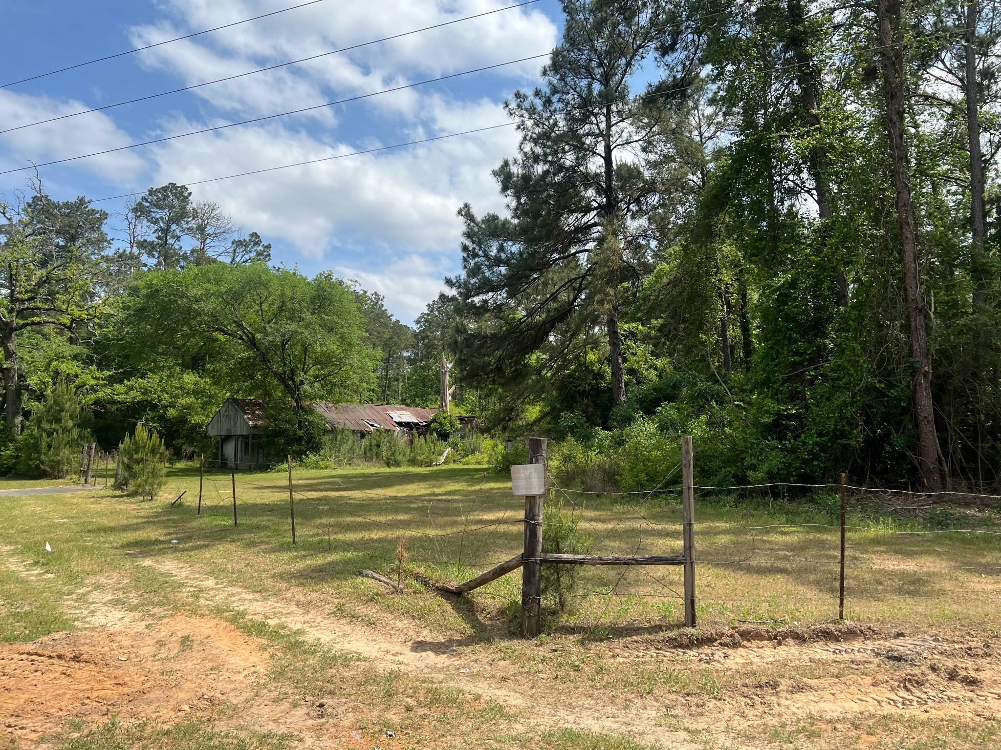 18157 State Highway 87 Call, TX 75933 - Photo 21 of 39 a view of a basketball court