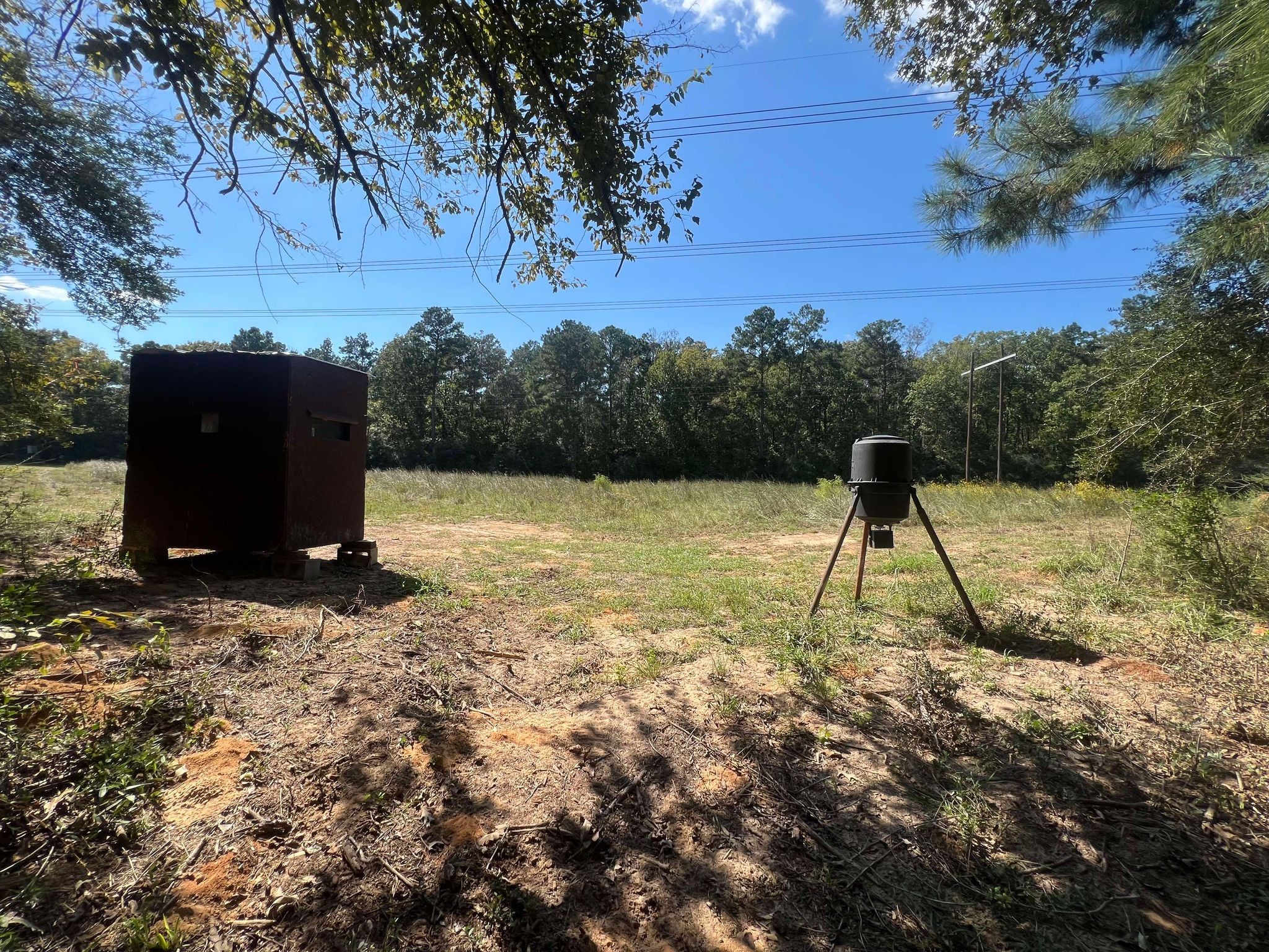 18157 State Highway 87 Call, TX 75933 - Photo 24 of 39 a view of outdoor space with garden