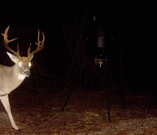 18157 State Highway 87 Call, TX 75933 - Photo 29 of 39