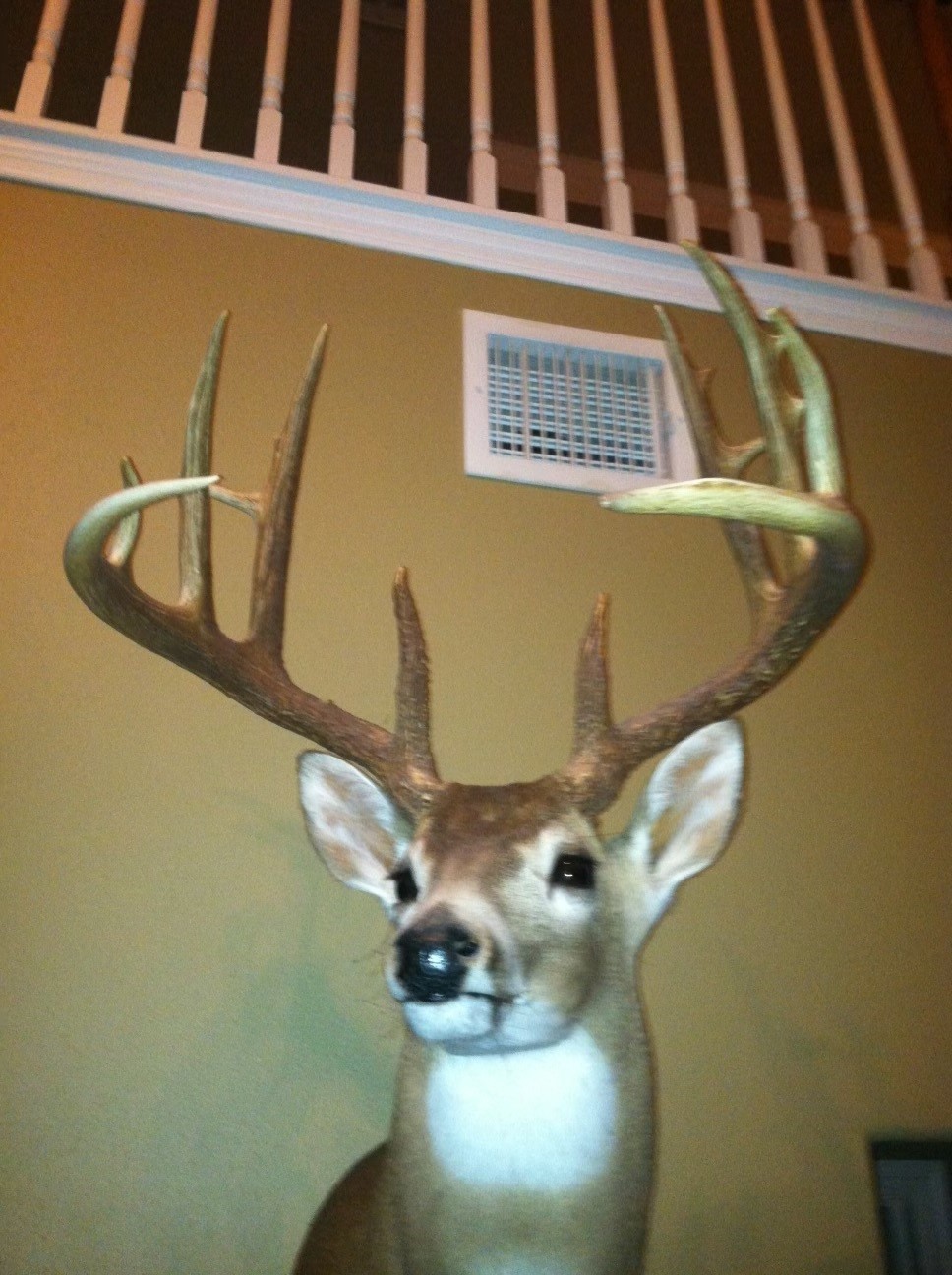 18157 State Highway 87 Call, TX 75933 - Photo 31 of 39