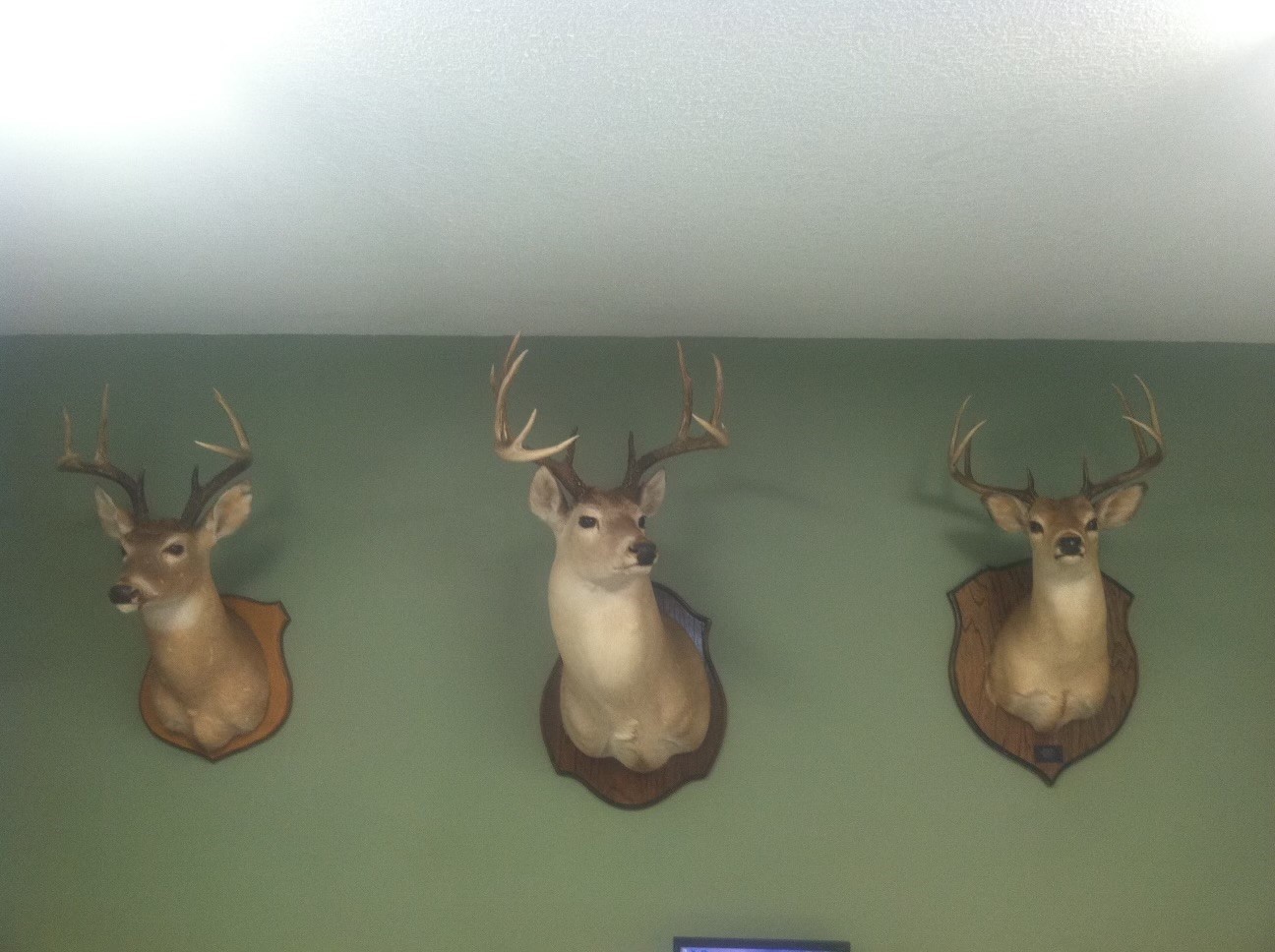 18157 State Highway 87 Call, TX 75933 - Photo 32 of 39