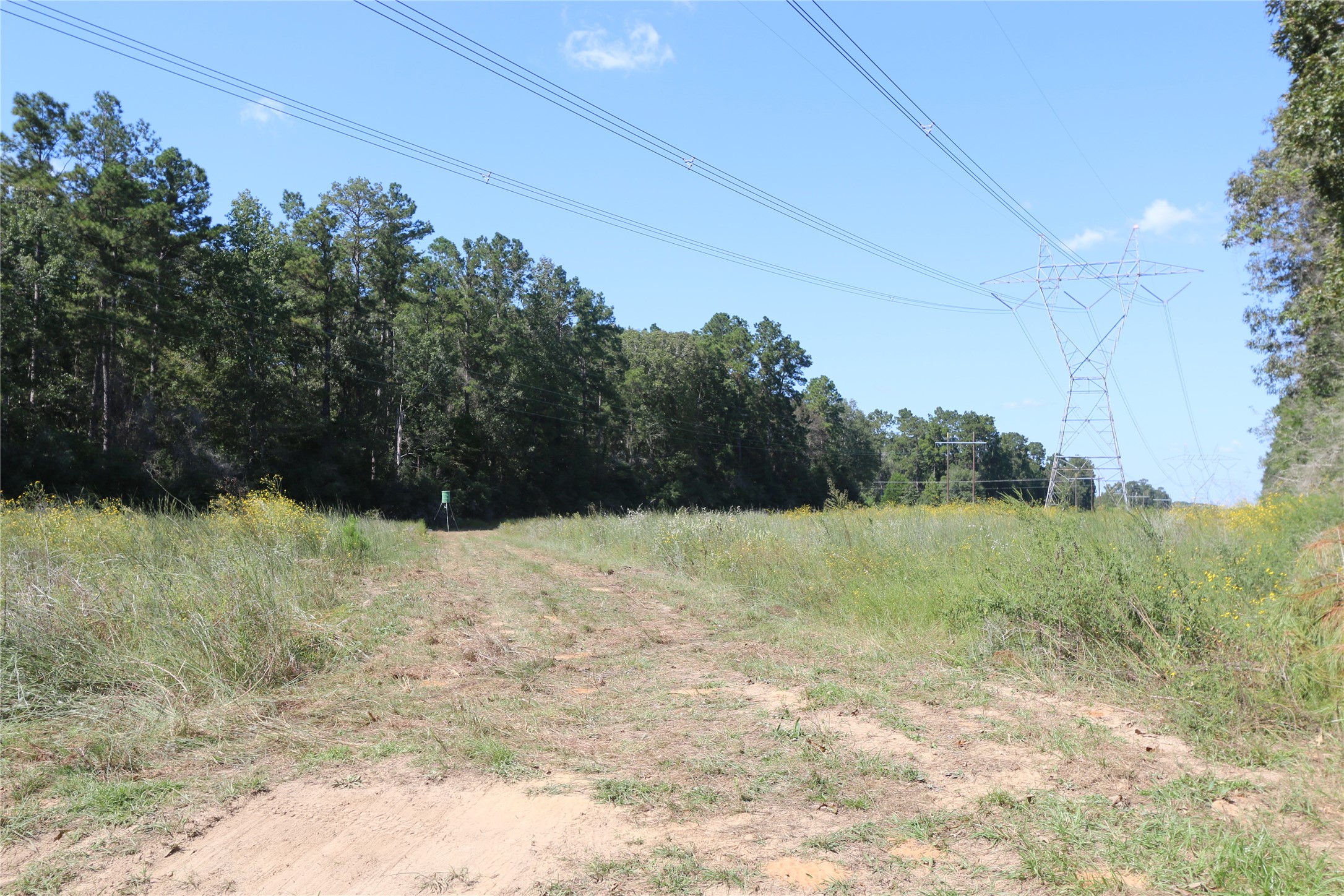 18157 State Highway 87 Call, TX 75933 - Photo 35 of 39 a view of mountain view with trees