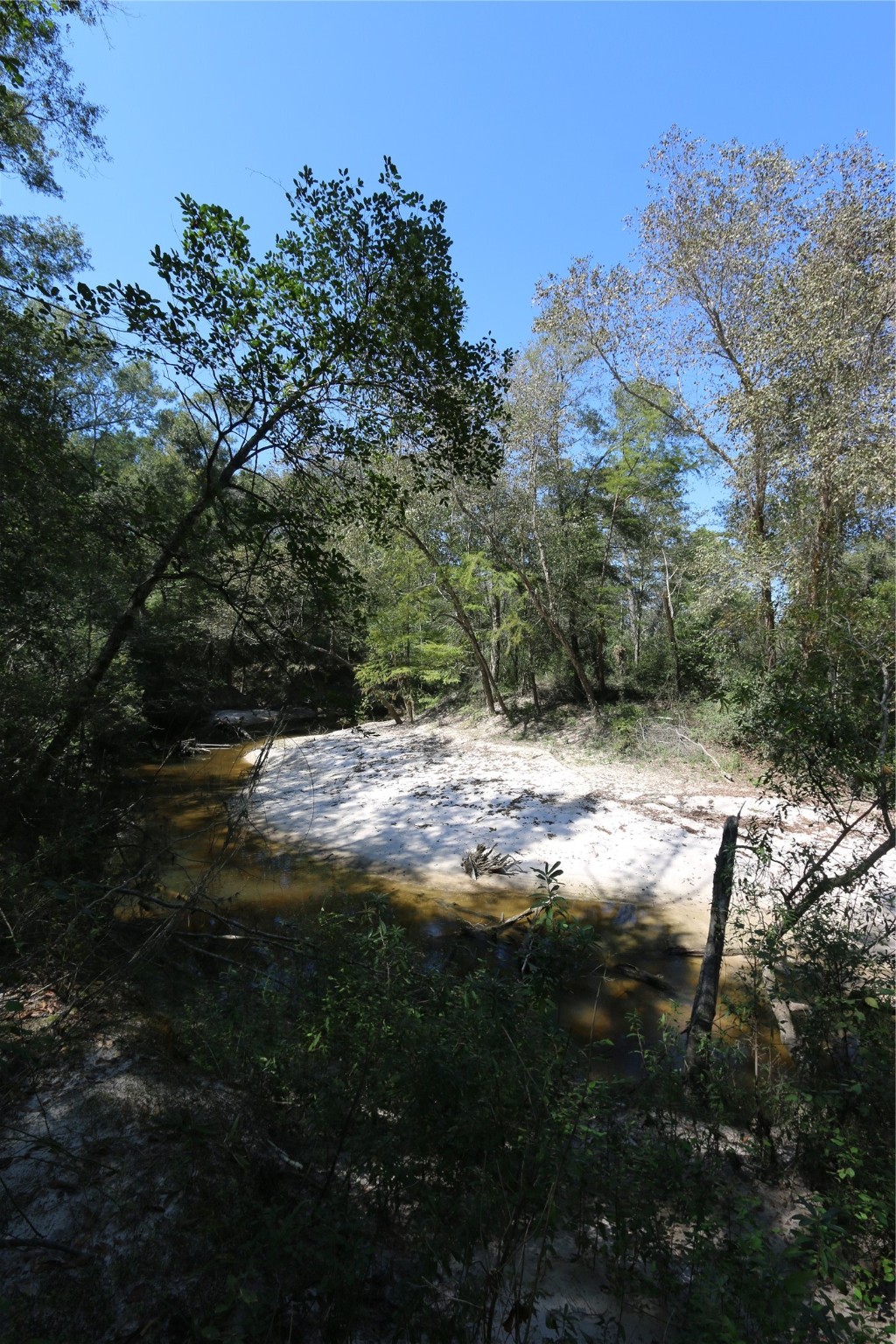 18157 State Highway 87 Call, TX 75933 - Photo 37 of 39 a view of outdoor space and yard