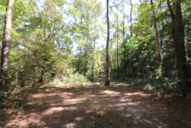 $799,500 | 18157 State Highway 87, Call, TX 75933