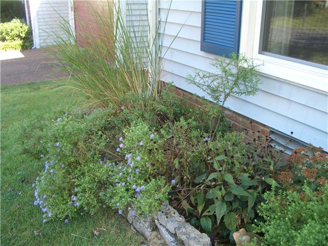 5324 Hunters Ridge Nashville, TN 37211 - Photo 17 of 19 Low maintenance native landscaping in all flower beds.