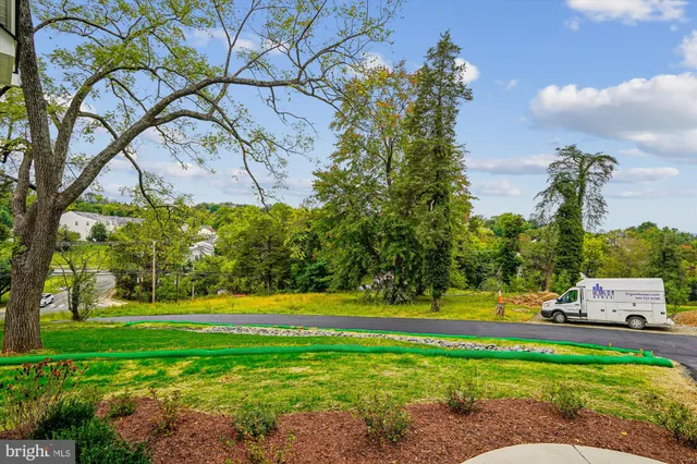 a view of a house with a yard and large tree