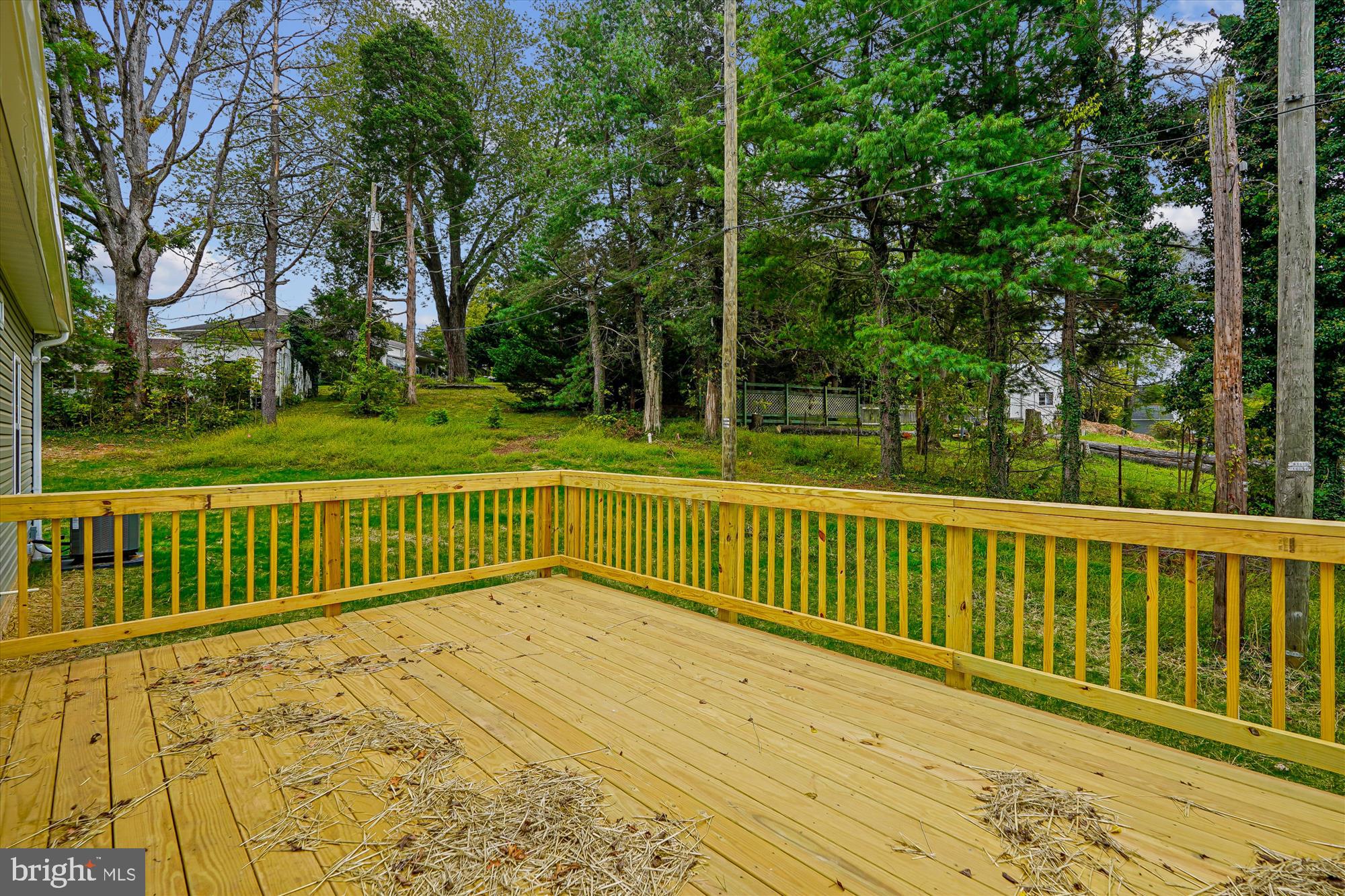 1 Eggbornsville Road Rixeyville, VA 22737 - Photo 35 of 66 Deck