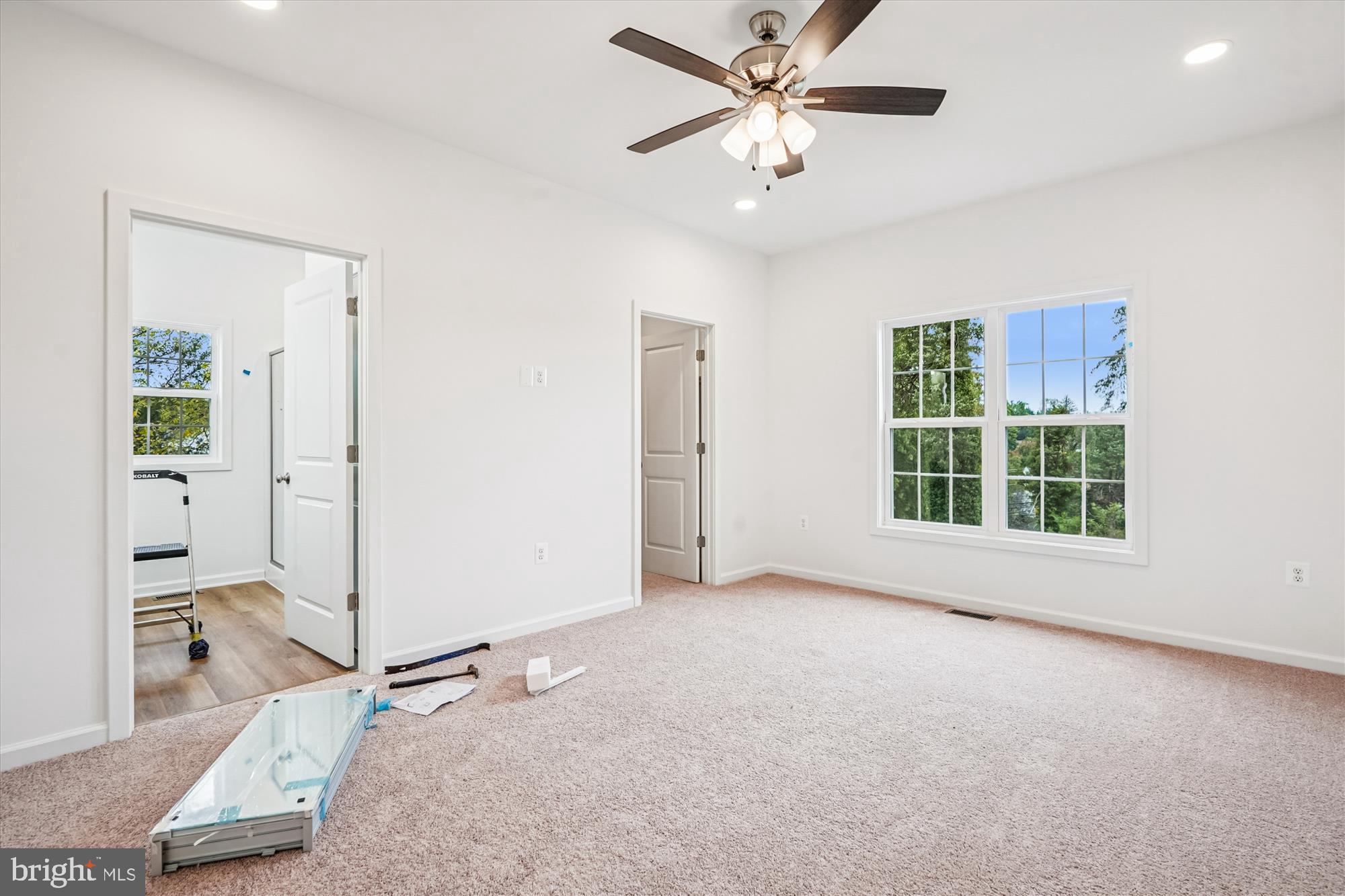 1 Eggbornsville Road Rixeyville, VA 22737 - Photo 55 of 66 an empty room with windows and ceiling fan