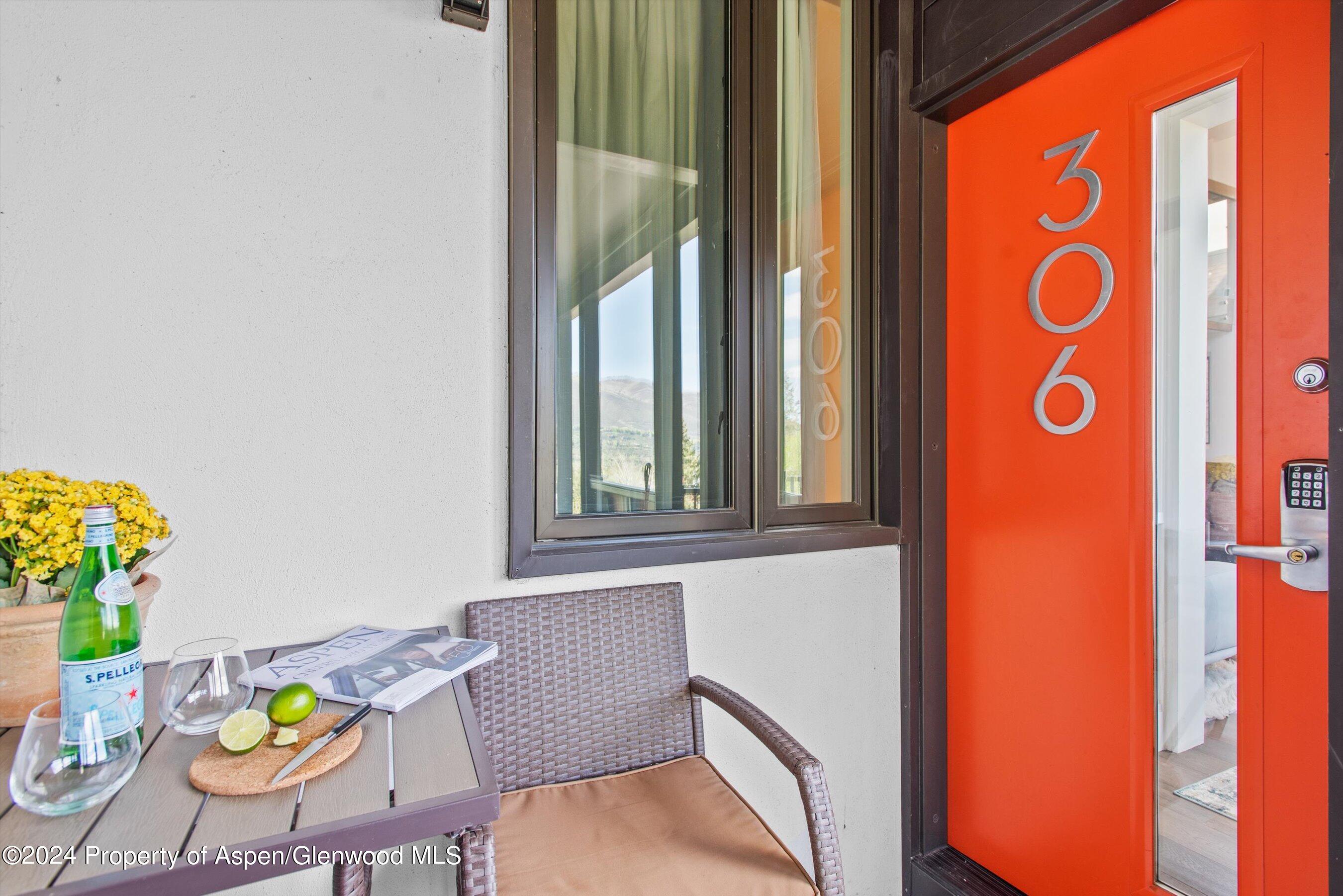 800 South Mill Street, Unit 306 Aspen, CO 81611 - Photo 11 of 16 Front Entry Way