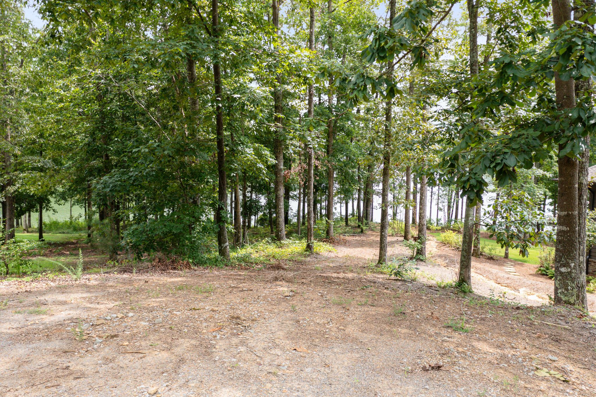 Lot 51 The Ridge Arley, AL 35541 - Photo 3 of 11 Gallery Image 3