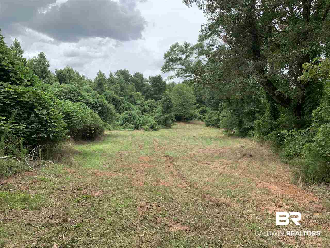 1178 Dry Lake Road Luverne, AL 36049 - Photo 13 of 50