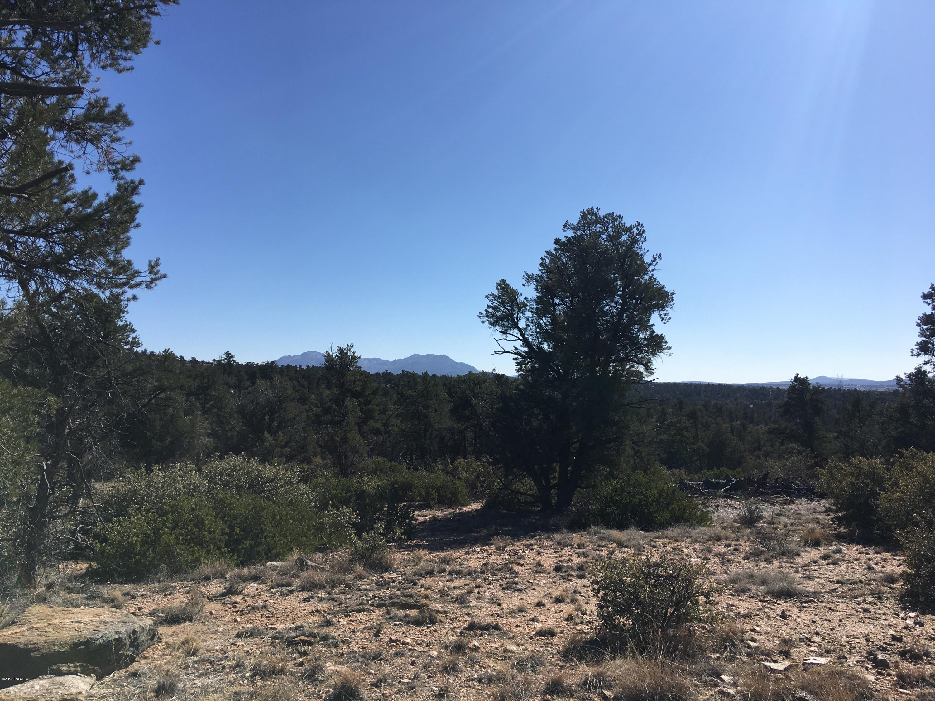 16400 Petroglyph Road Prescott, AZ 86305 - Photo 21 of 23 a view of a yard with a tree