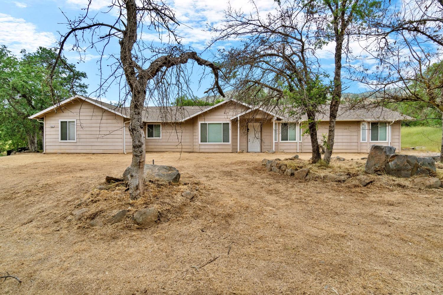 a front view of a house with a yard and large tree