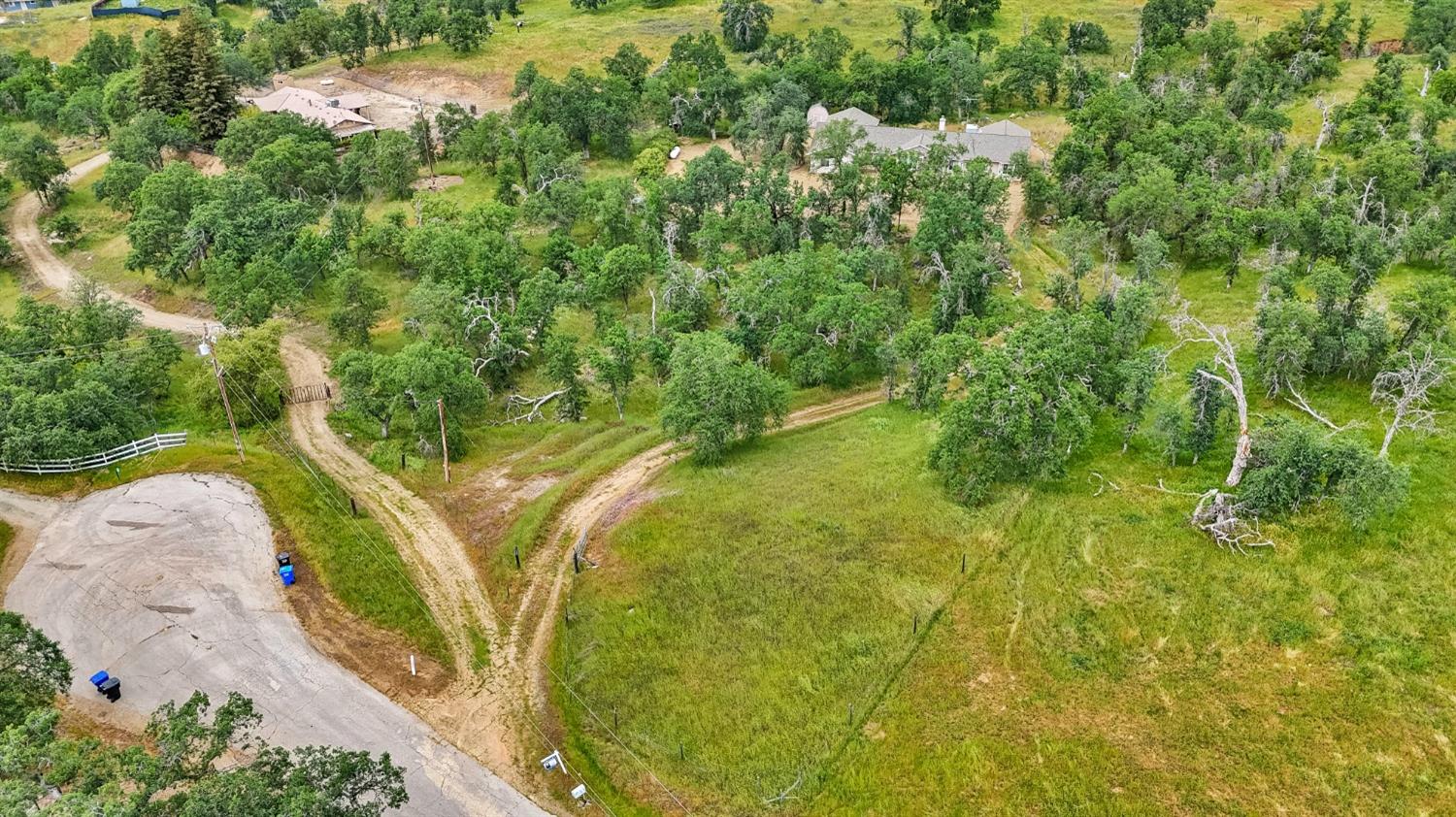 6864 Rodeo Drive Sanger, CA 93657 - Photo 45 of 48 a view of a yard with plants
