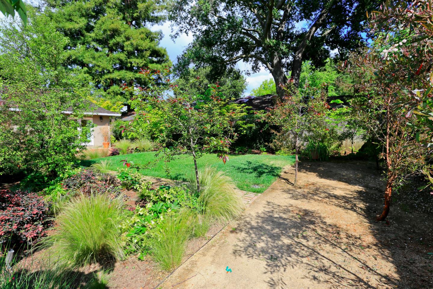 1219 Whitaker Way Menlo Park, CA 94025 - Photo 17 of 19 a view of a garden with large trees