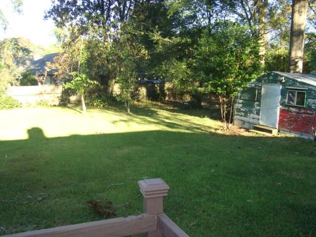a view of a backyard