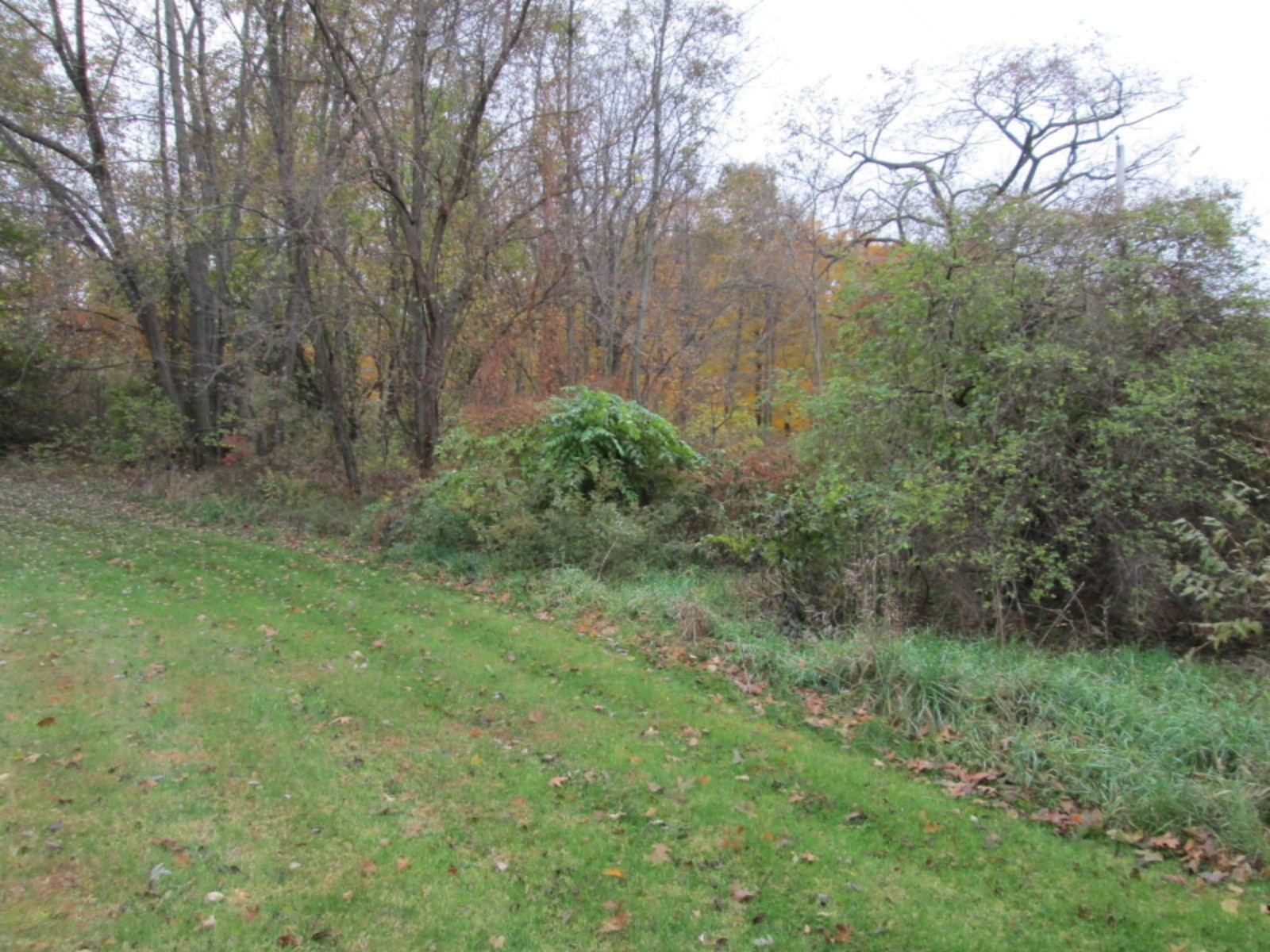 10327 Singer Lake Road Baroda, MI 49101 - Photo 5 of 8 IMG_3897
