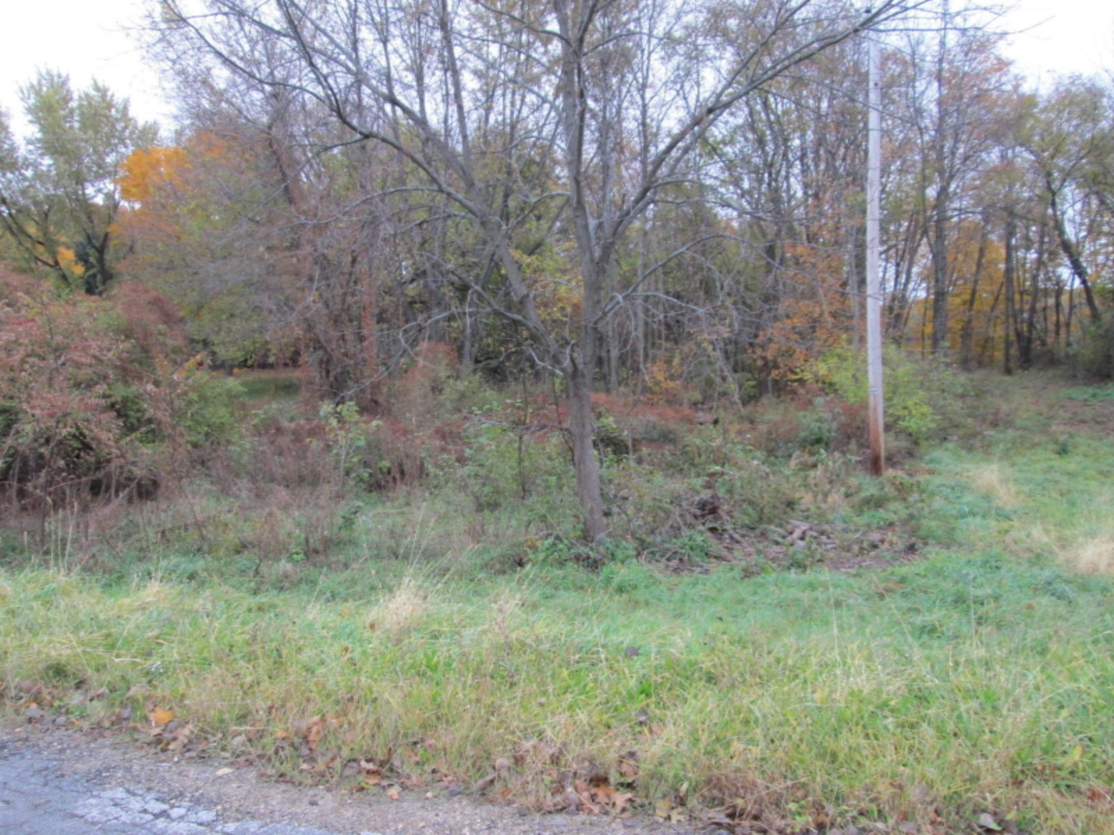 10327 Singer Lake Road Baroda, MI 49101 - Photo 6 of 8 IMG_3898