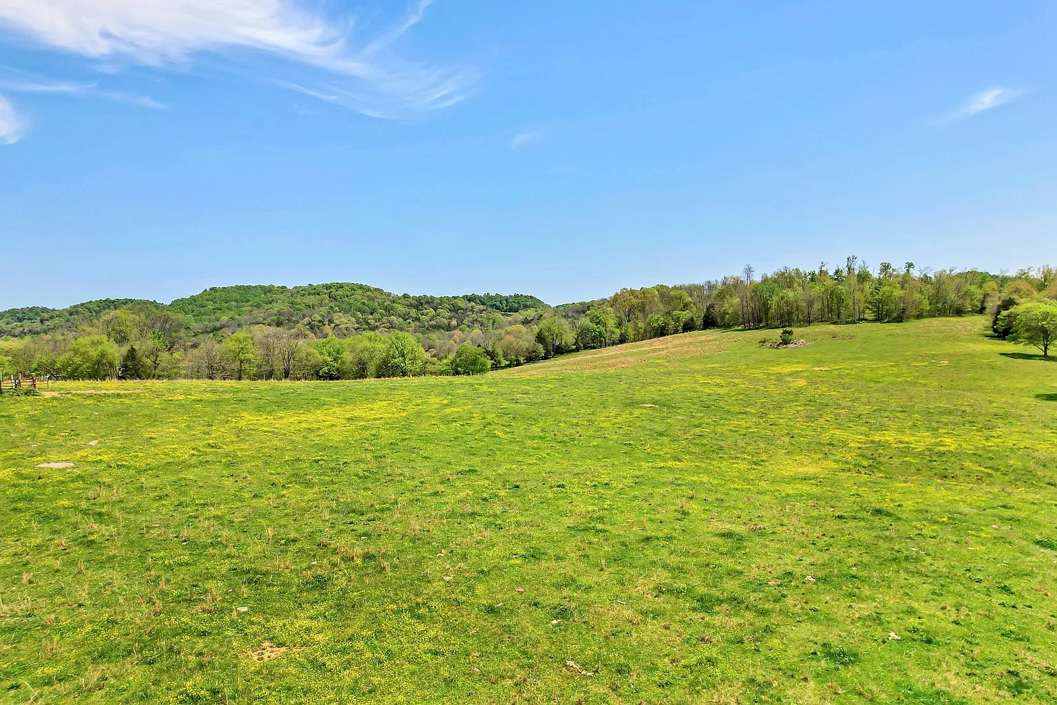 290 Gladdice Road Pleasant Shade, TN 37145 - Photo 5 of 41
