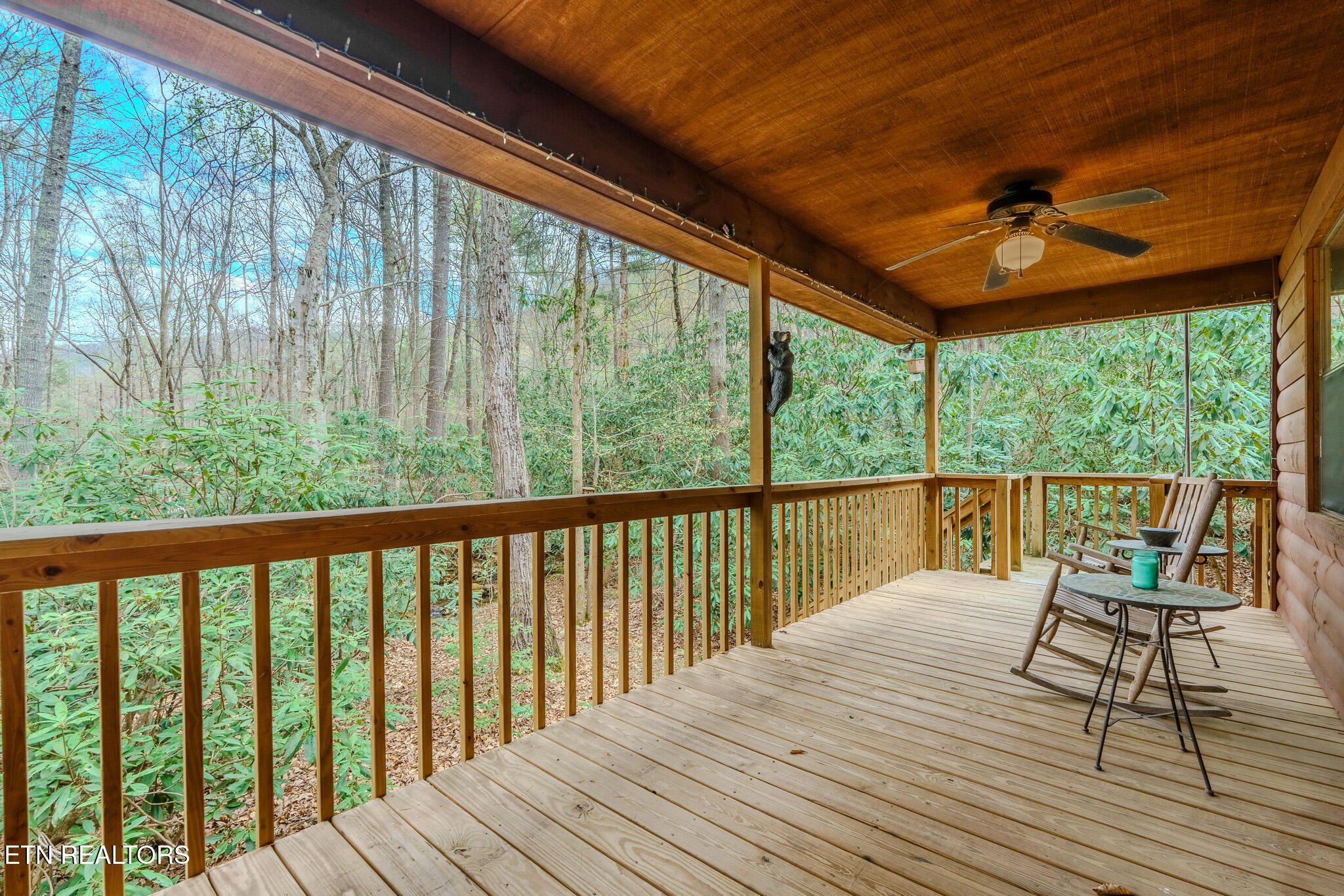 3386 Rocky Ridge Road Cosby, TN 37722 - Photo 26 of 28 _DSC3853-HDR