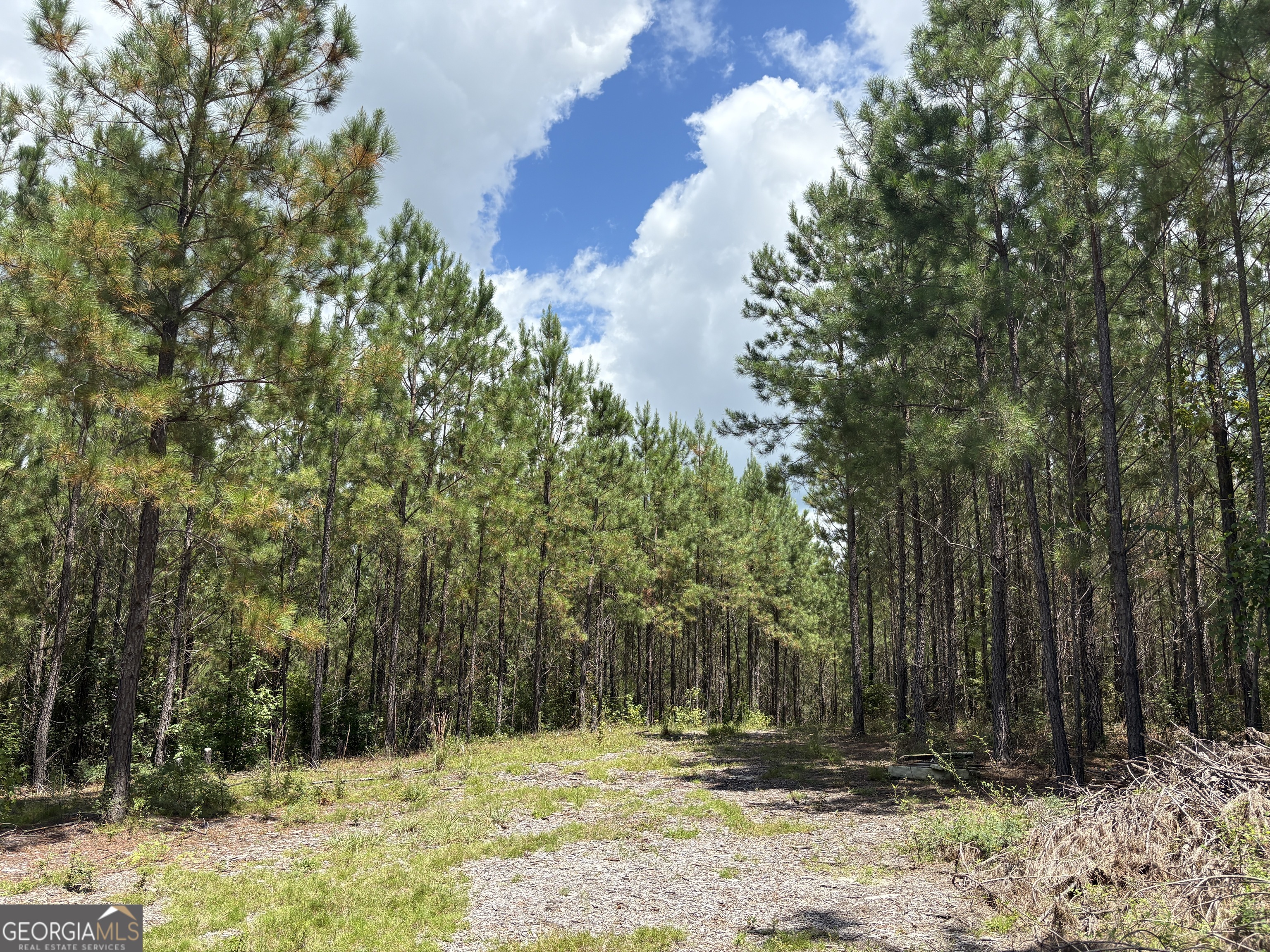 a view of outdoor space with trees