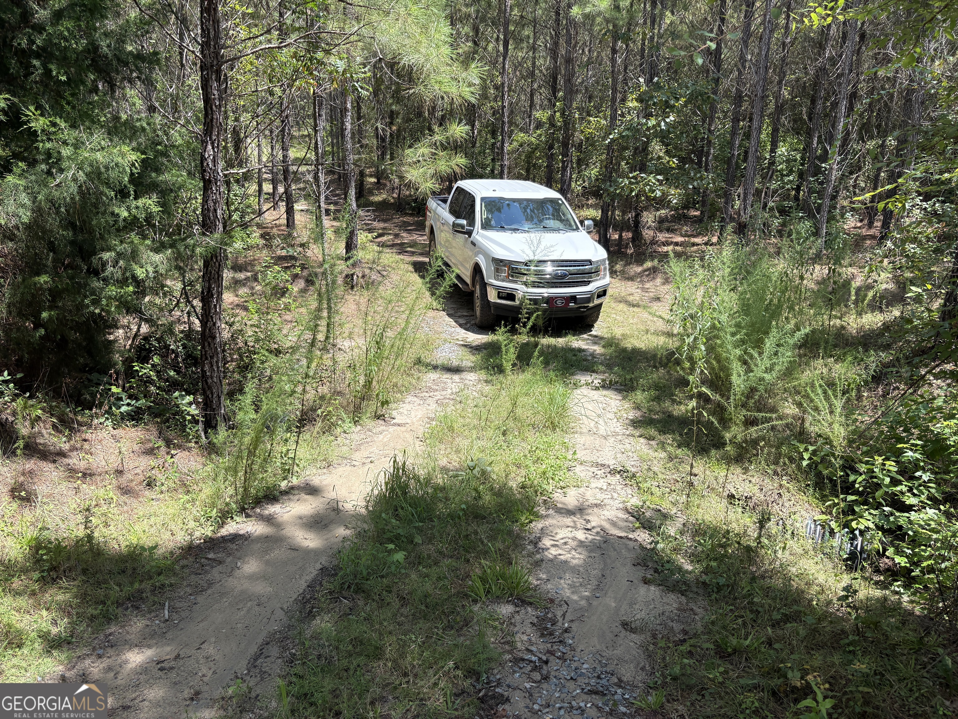0 Black Creek Road Gordon, GA 31031 - Photo 11 of 13 a backyard of a house with yard and outdoor seating