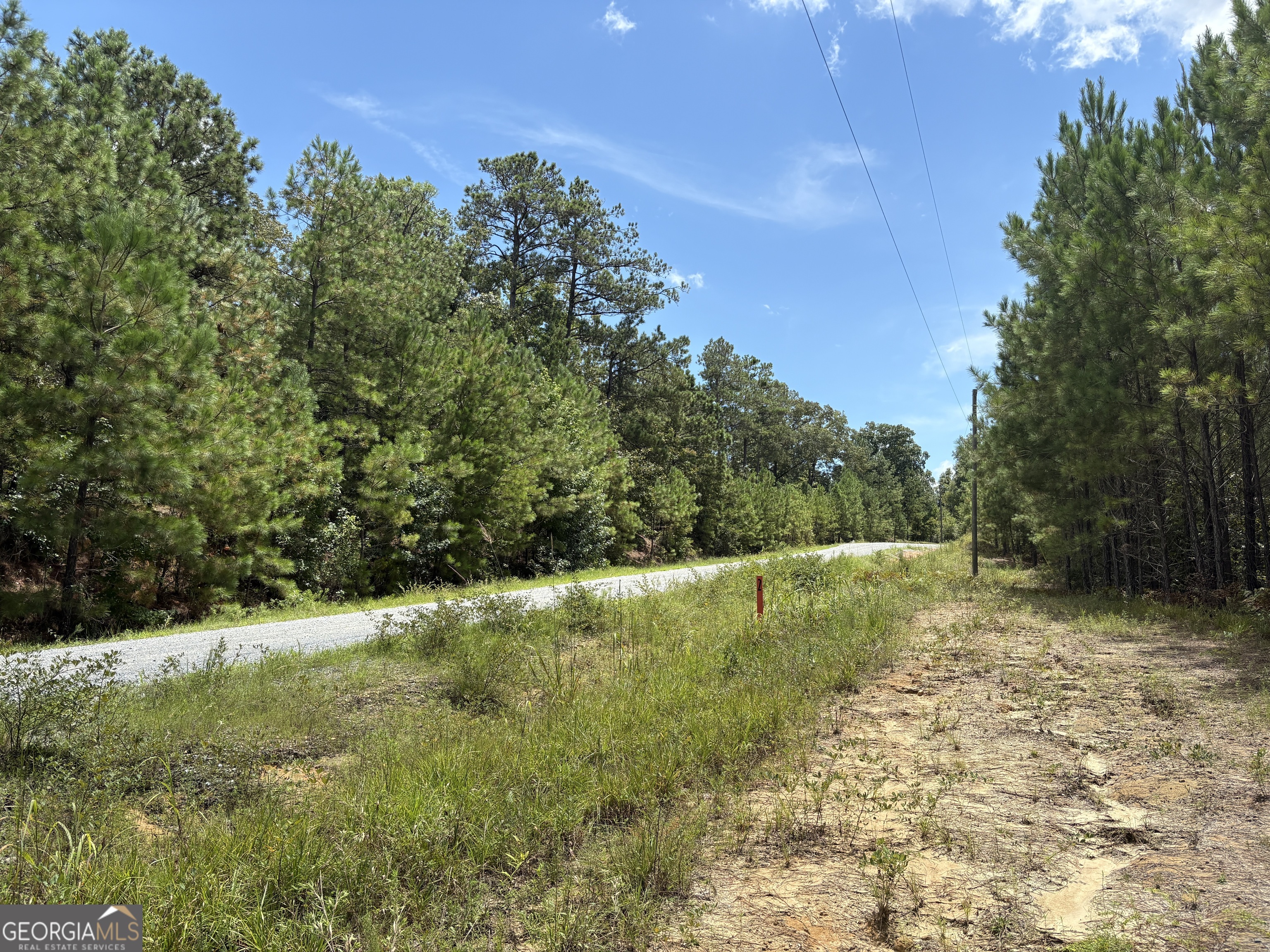 0 Black Creek Road Gordon, GA 31031 - Photo 12 of 13 a view of a pathway with a yard