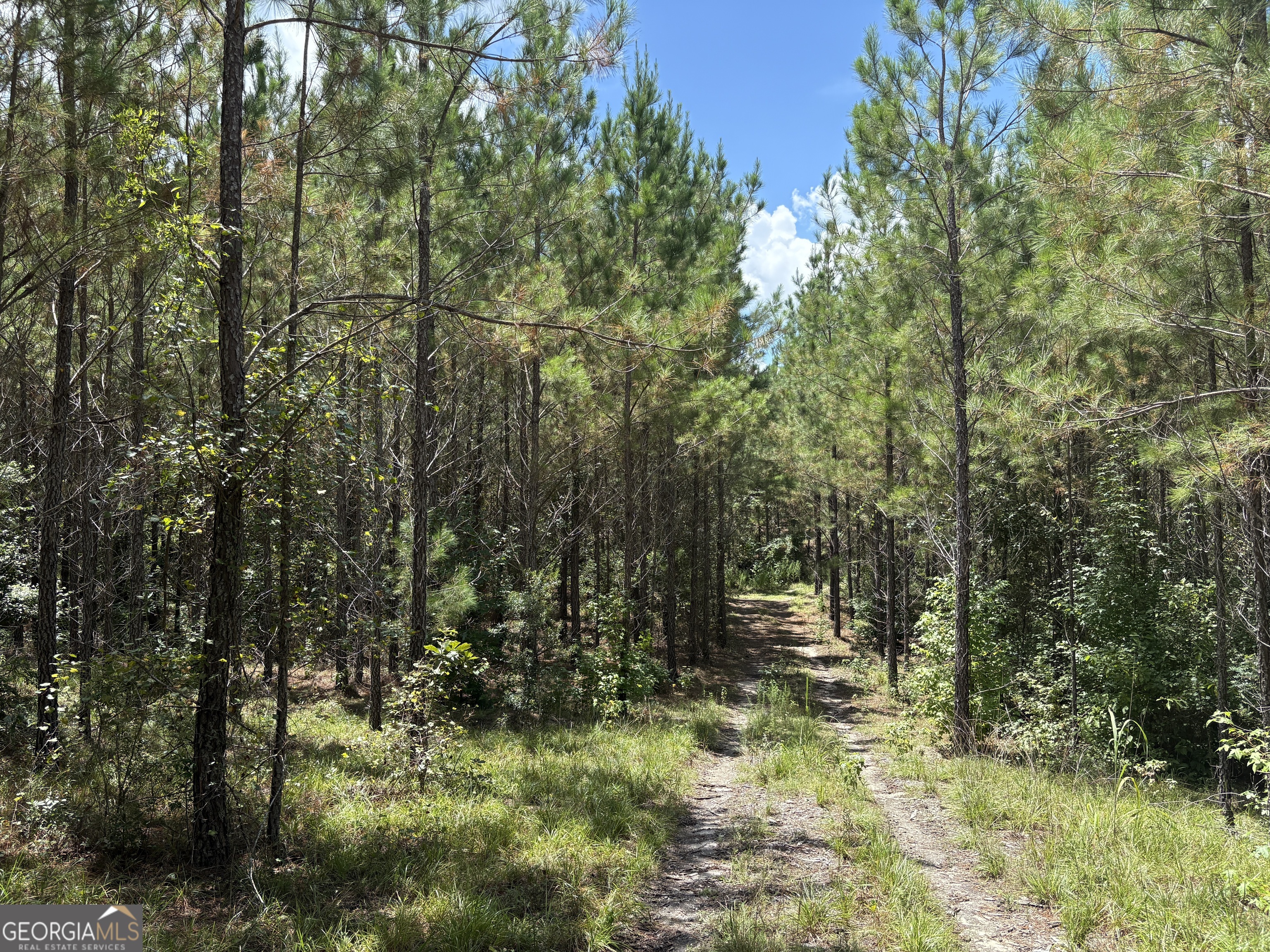 0 Black Creek Road Gordon, GA 31031 - Photo 2 of 13 a view of outdoor space and trees
