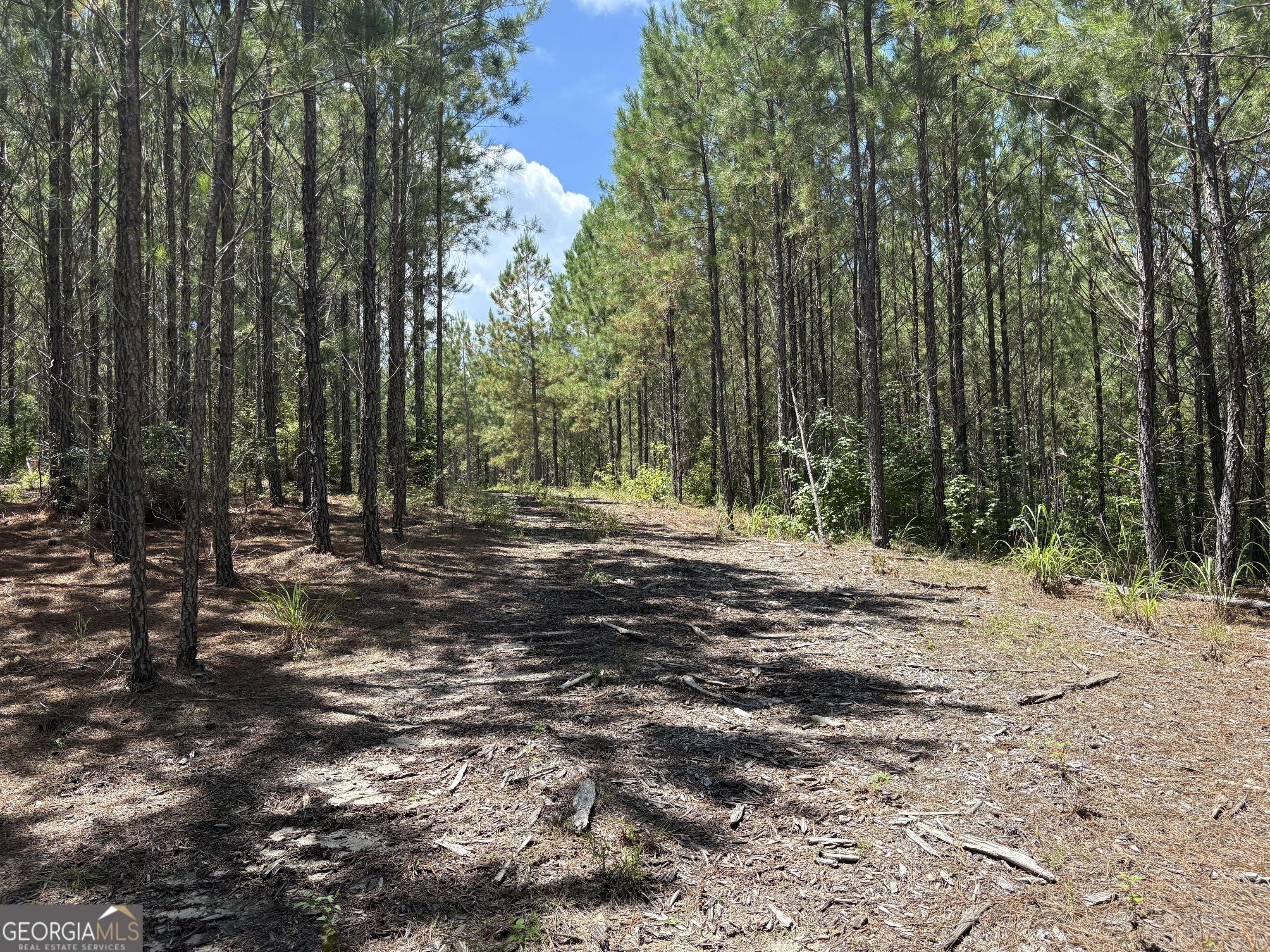 0 Black Creek Road Gordon, GA 31031 - Photo 4 of 13 a view of outdoor space with trees