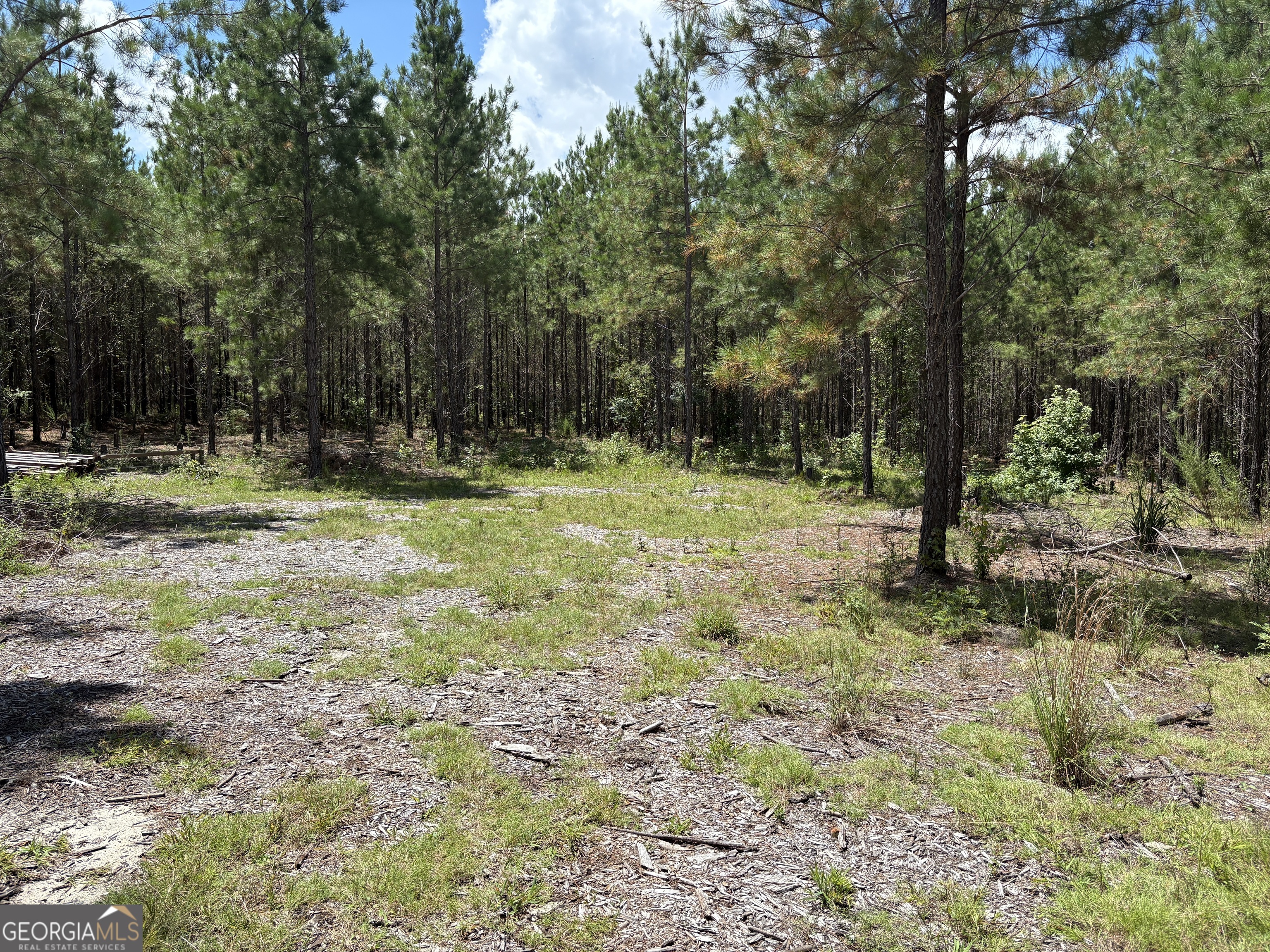 0 Black Creek Road Gordon, GA 31031 - Photo 5 of 13 a backyard of a house with lots of green space