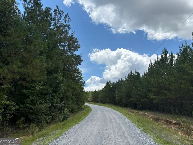 a view of a pathway both side of grassy field with trees