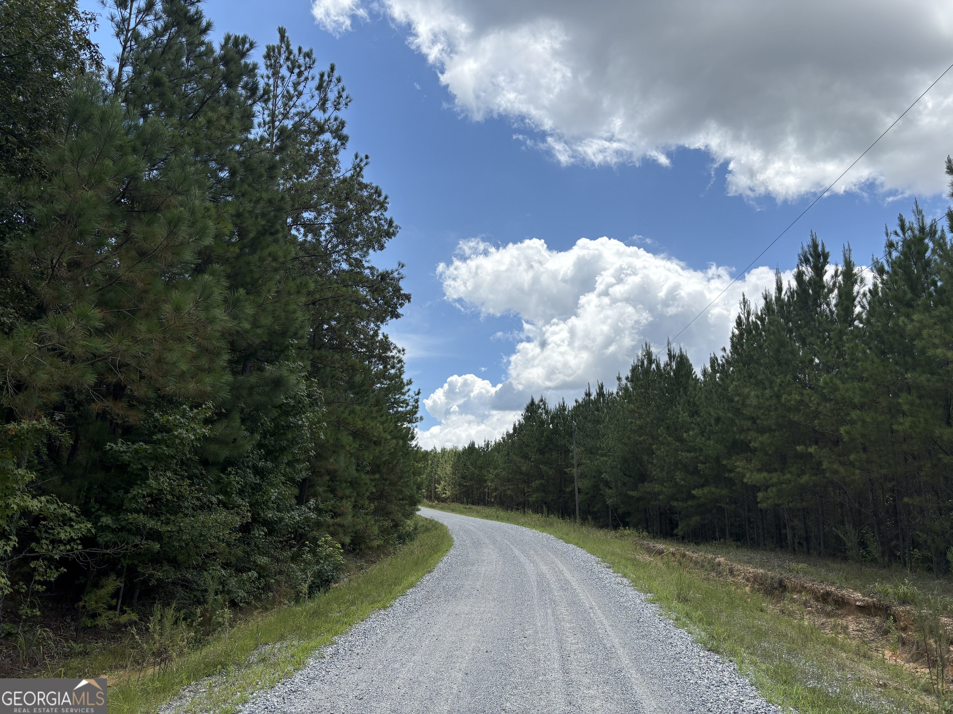 0 Black Creek Road Gordon, GA 31031 - Photo 6 of 13 a view of a pathway both side of grassy field with trees