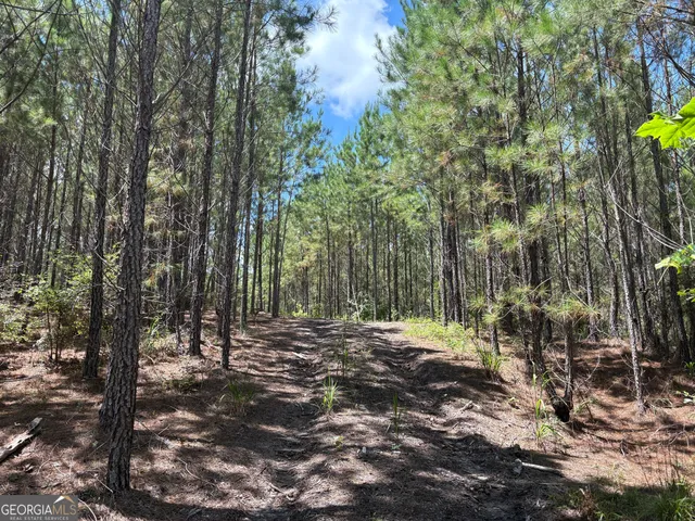 a view of outdoor space with trees