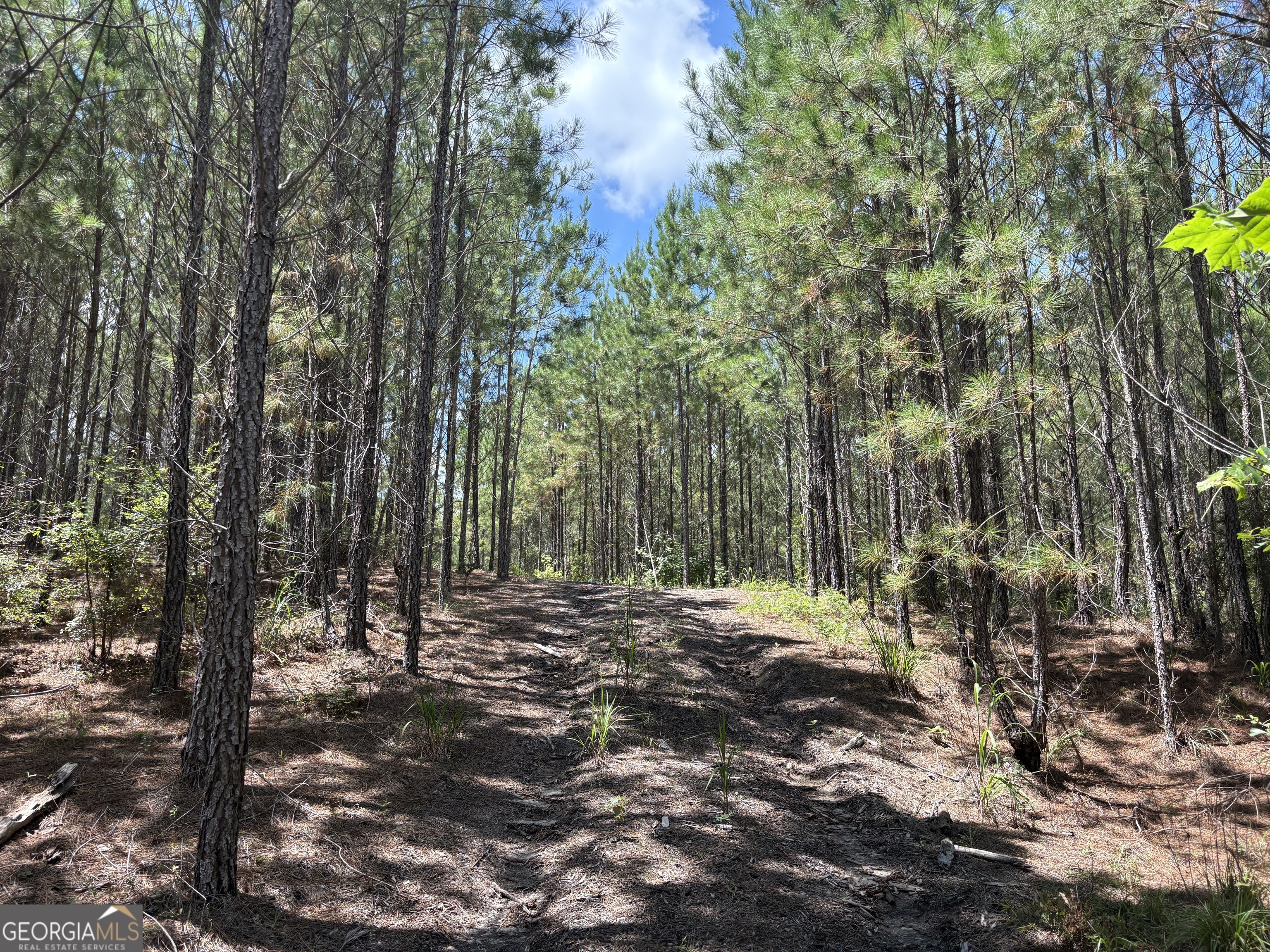 0 Black Creek Road Gordon, GA 31031 - Photo 8 of 13 a view of outdoor space with trees