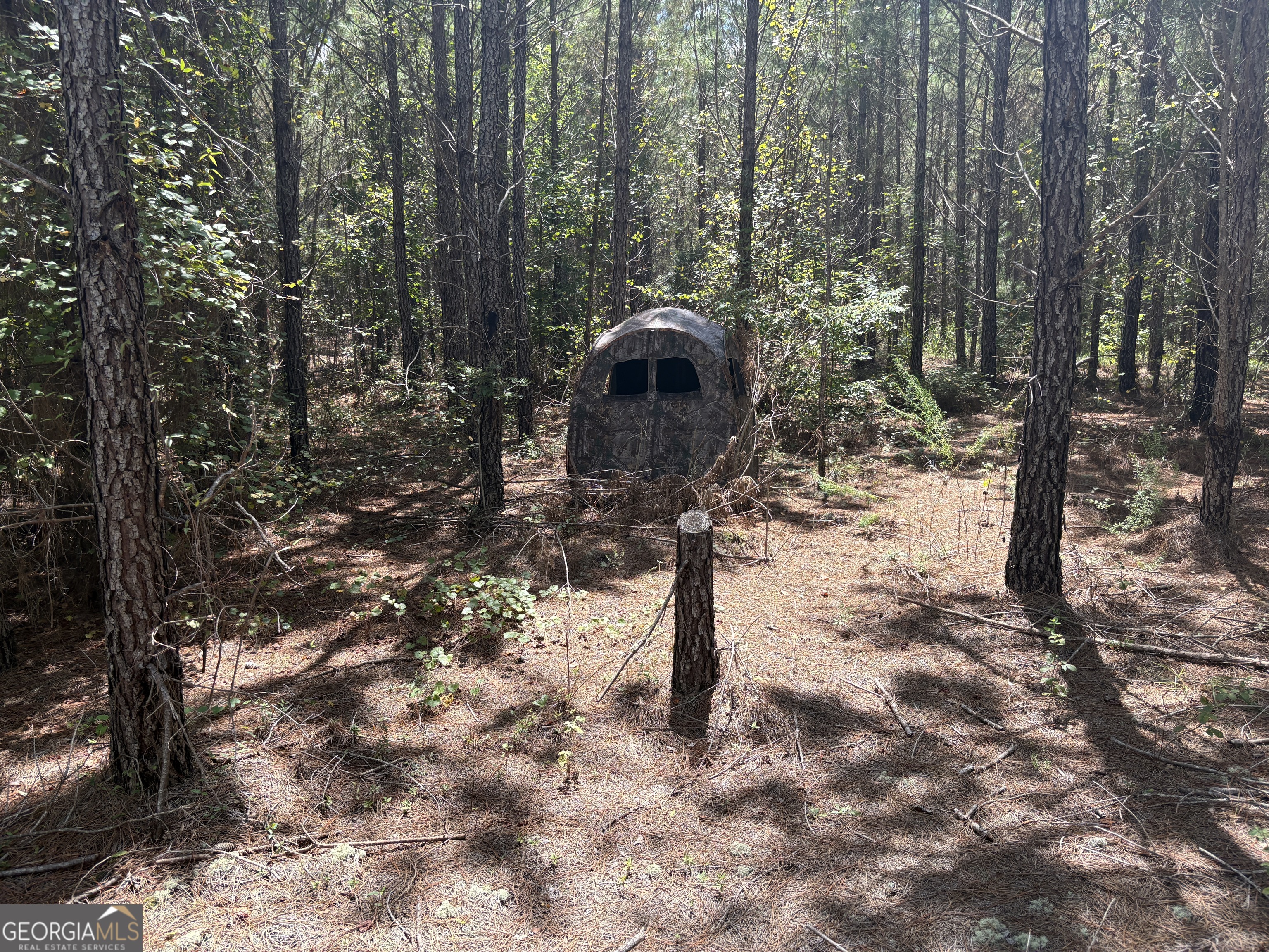 0 Black Creek Road Gordon, GA 31031 - Photo 10 of 13 a view of a forest filled with trees