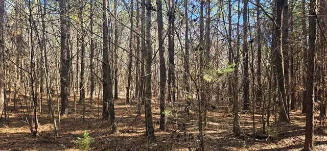 $119,900 | 0 T N Snow Road, Nathalie, VA 24577