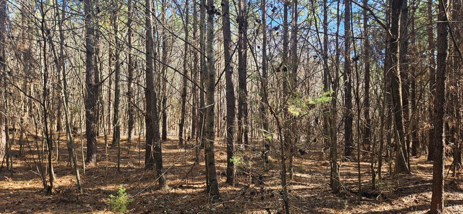 0 T N Snow Road Nathalie, VA 24577 - Photo 2 of 8