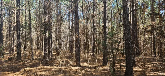 $119,900 | 0 T N Snow Road, Nathalie, VA 24577