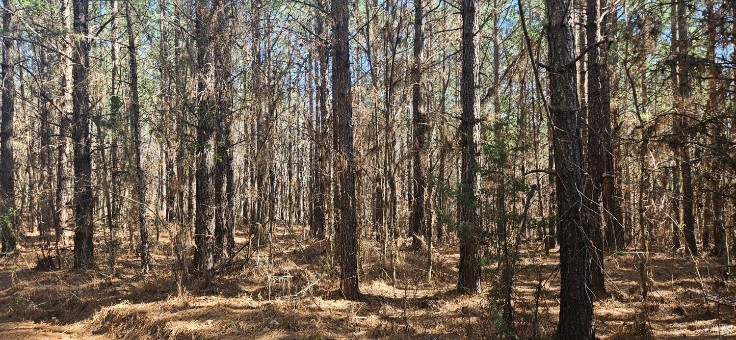 0 T N Snow Road Nathalie, VA 24577 - Photo 3 of 8