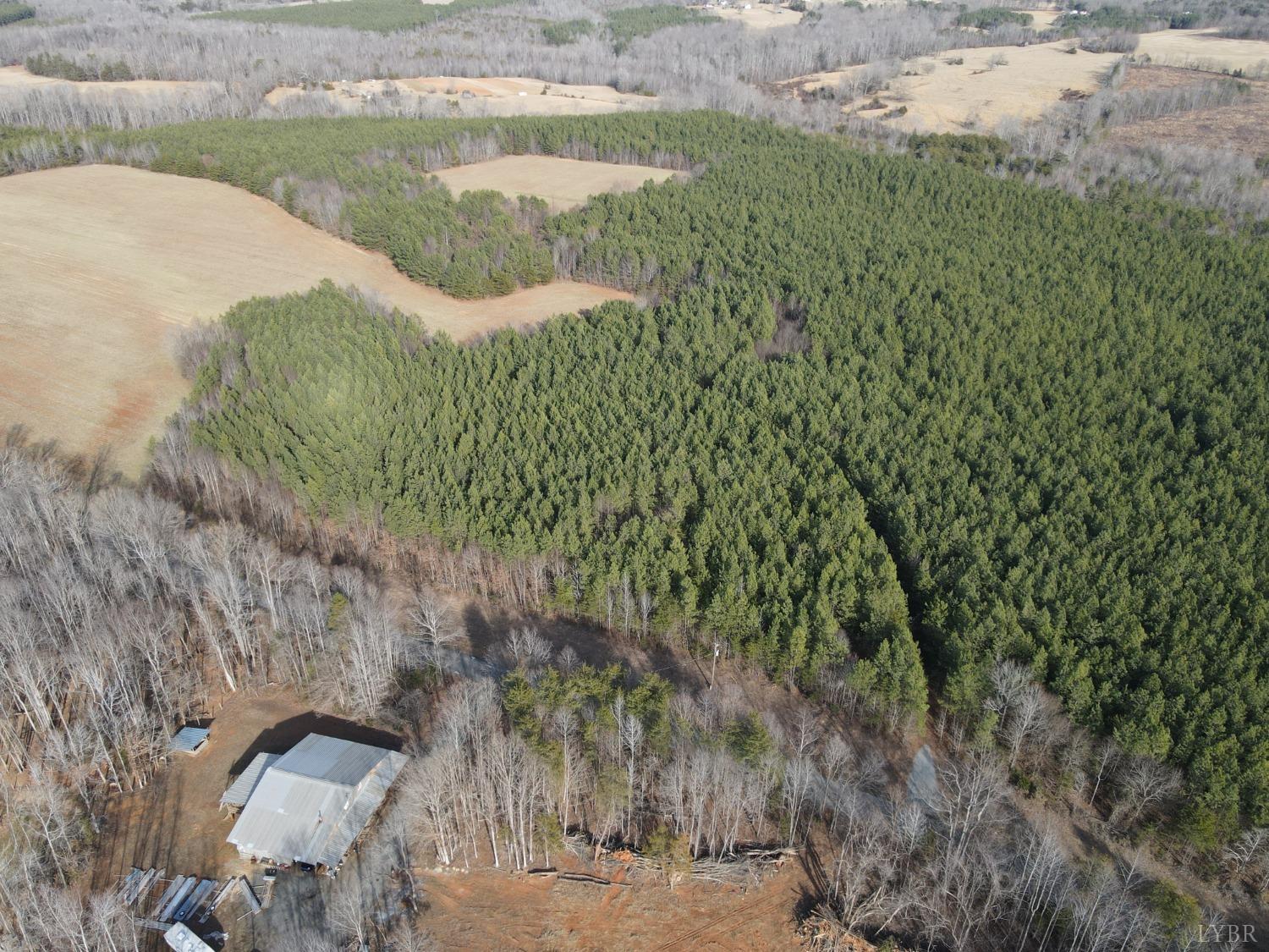 0 T N Snow Road Nathalie, VA 24577 - Photo 5 of 8