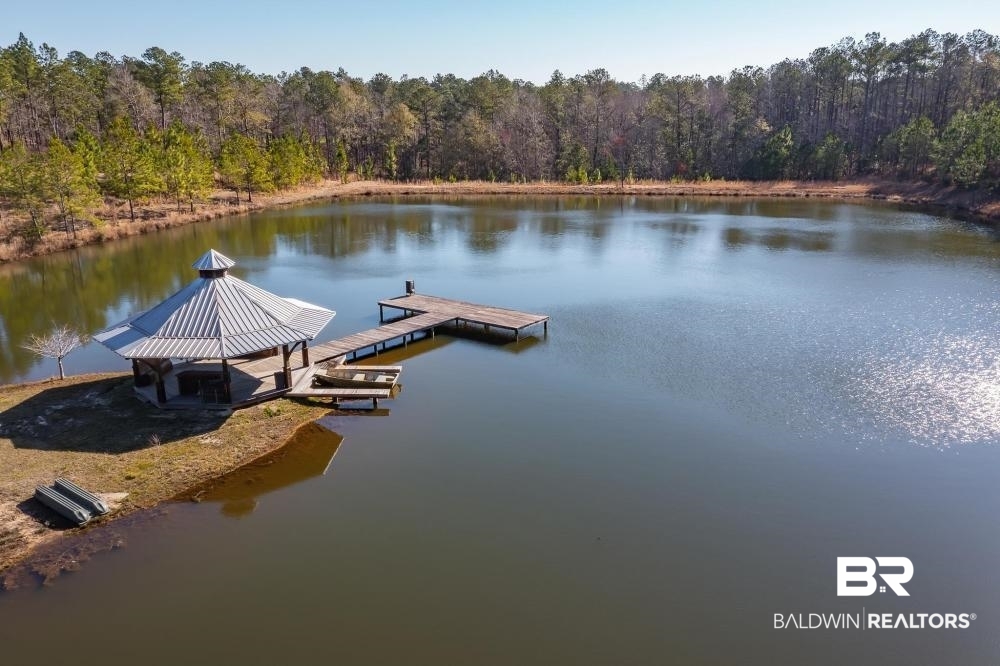 0 Private Road Millry, AL 36558 - Photo 15 of 50