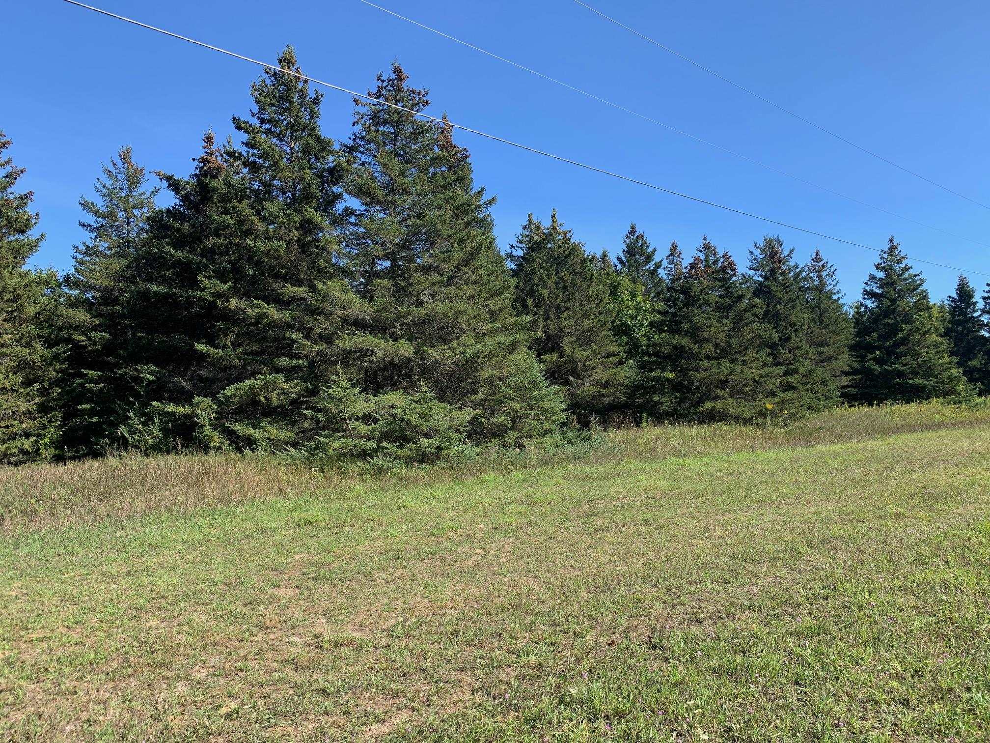 0 South Maple City Road Traverse City, MI 49684 - Photo 13 of 22