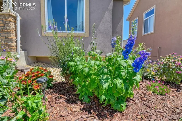 a flower plants in front of the house