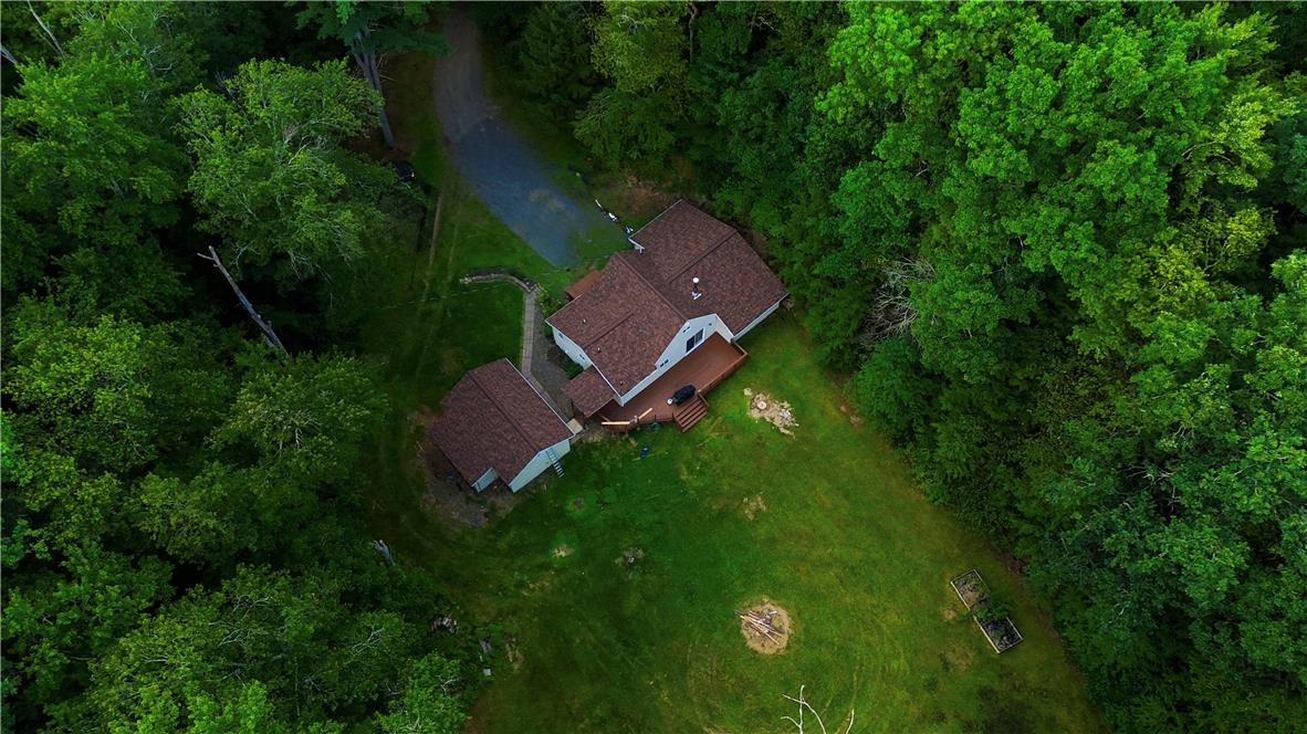 Mature trees frame a private lawn surrounding this secluded woodland retreat.