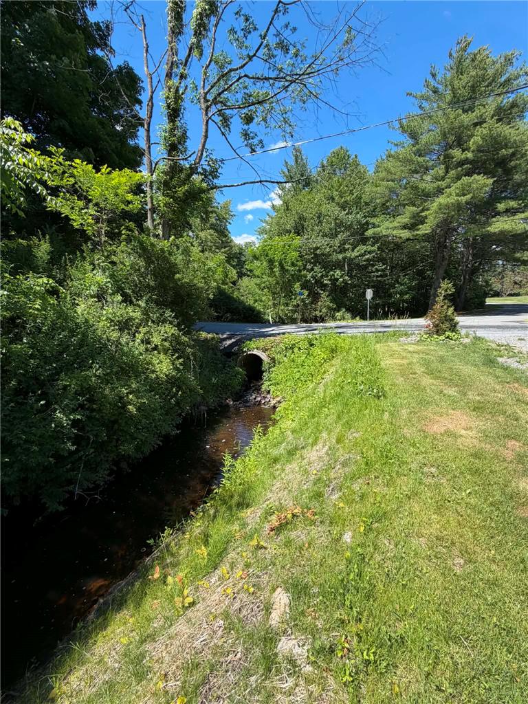 164 Sand Spring Road Cresco, PA 18326 - Photo 59 of 60 A tranquil stream meanders through verdant foliage, leading to a scenic, tree-lined road.